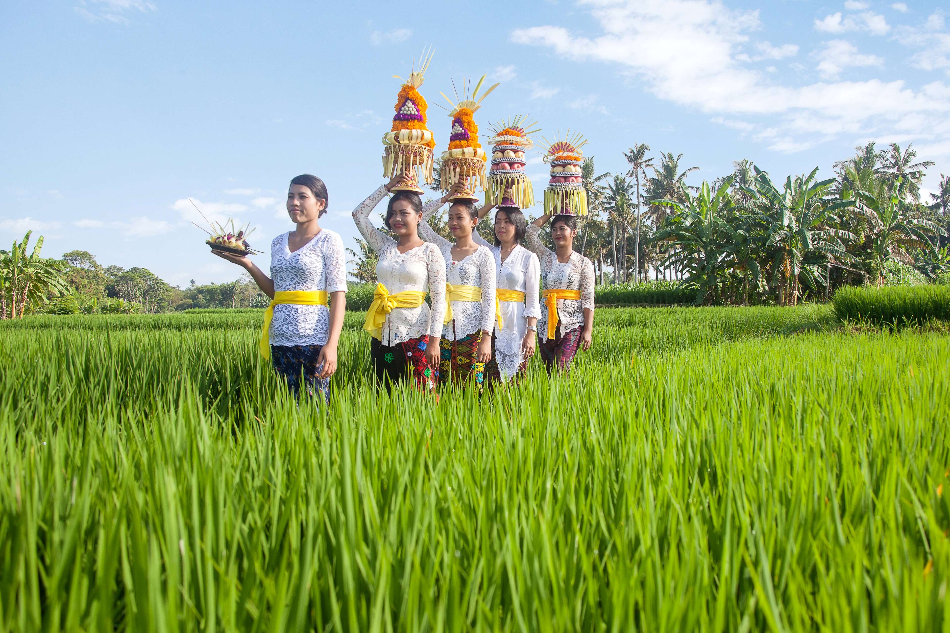 Wyndham Tamansari Jivva Resort Bali Wyndham Tamansari Jivva Resort Bali