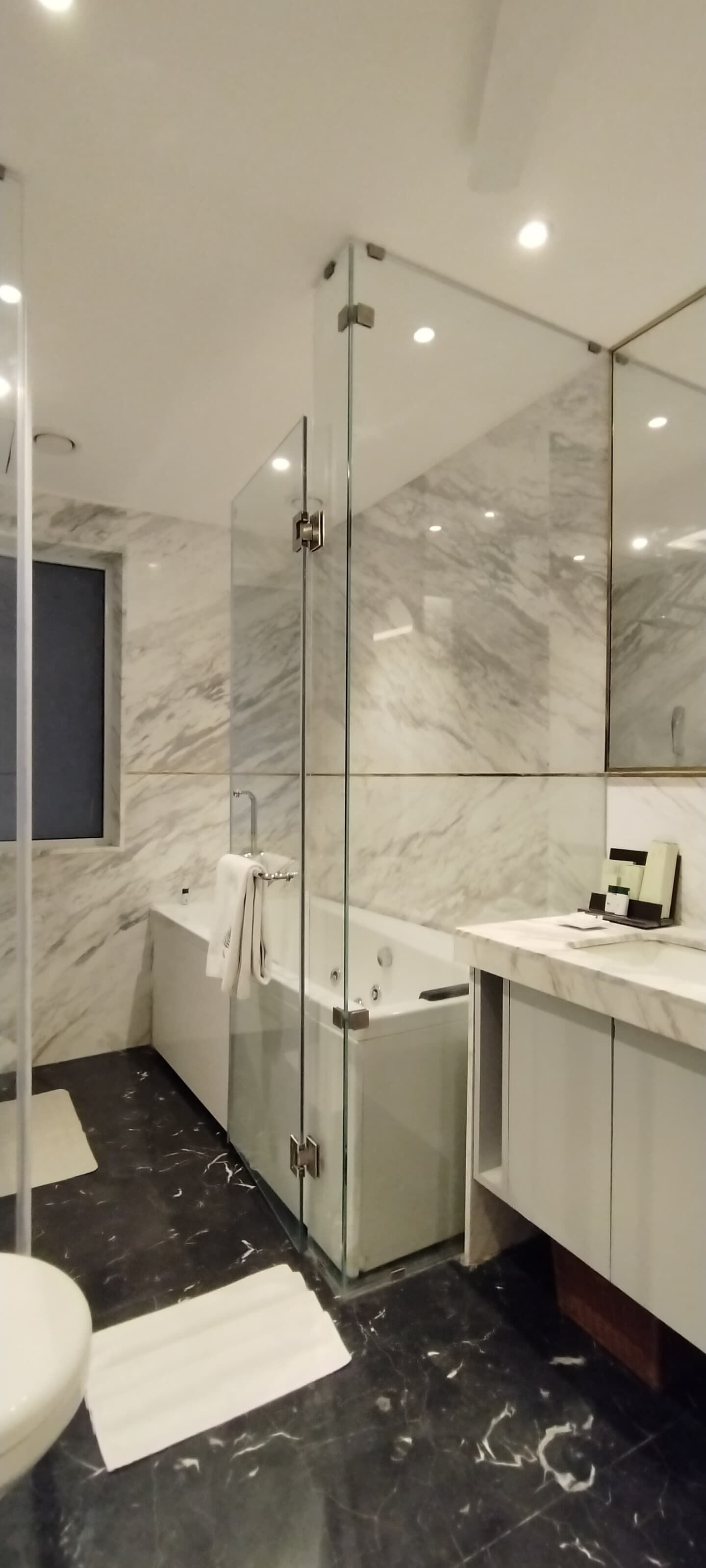 Amanora The Fern Pune Series by Marriott