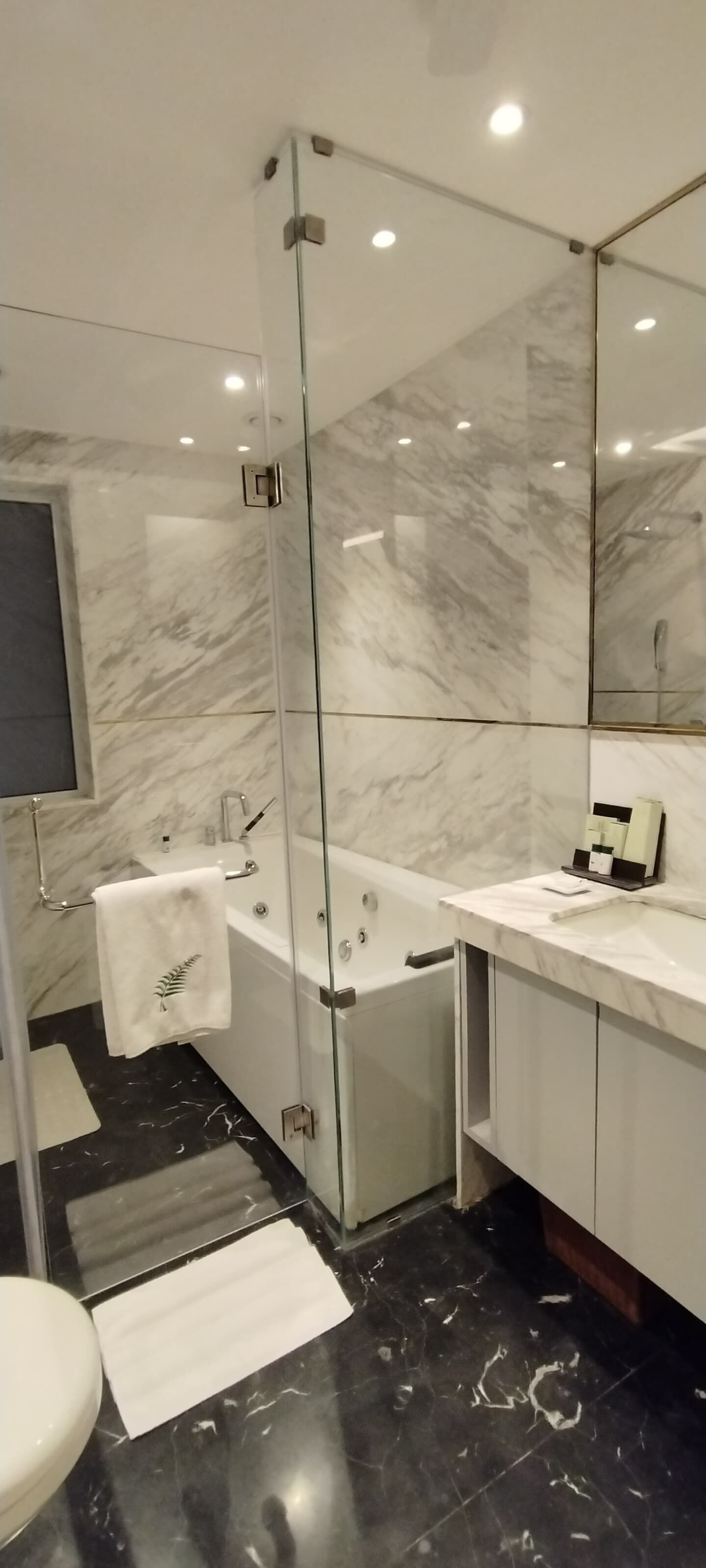 Amanora The Fern Pune Series by Marriott