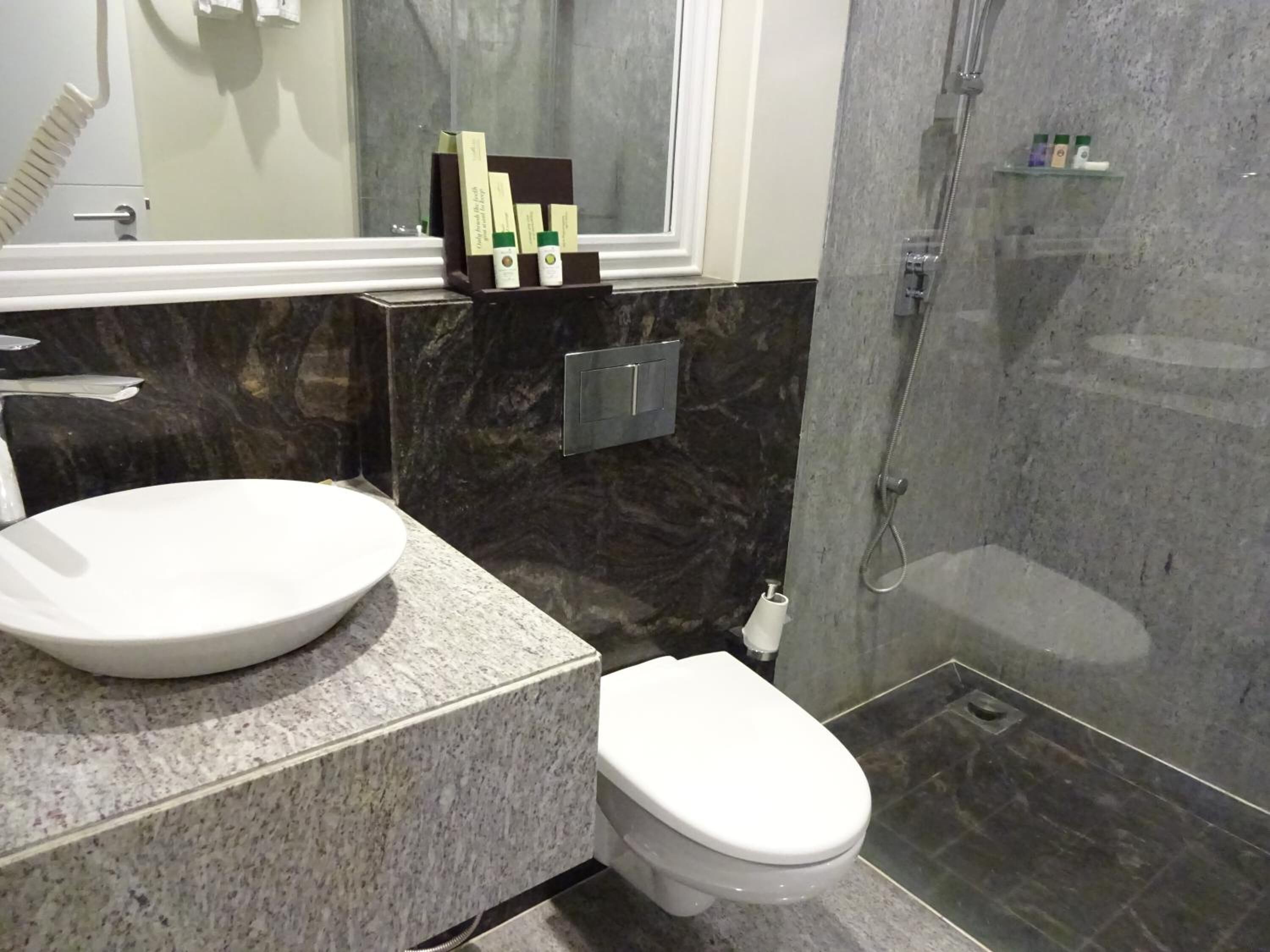 Amanora The Fern Pune Series by Marriott