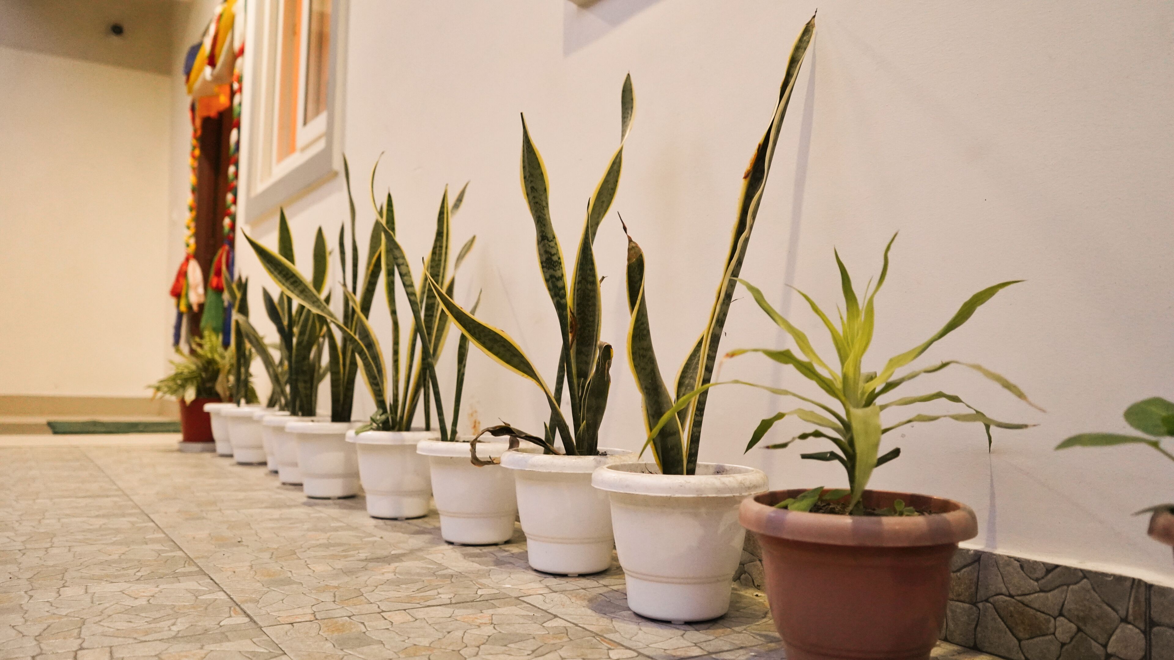 Hotel Sherabling Hotel Sherabling