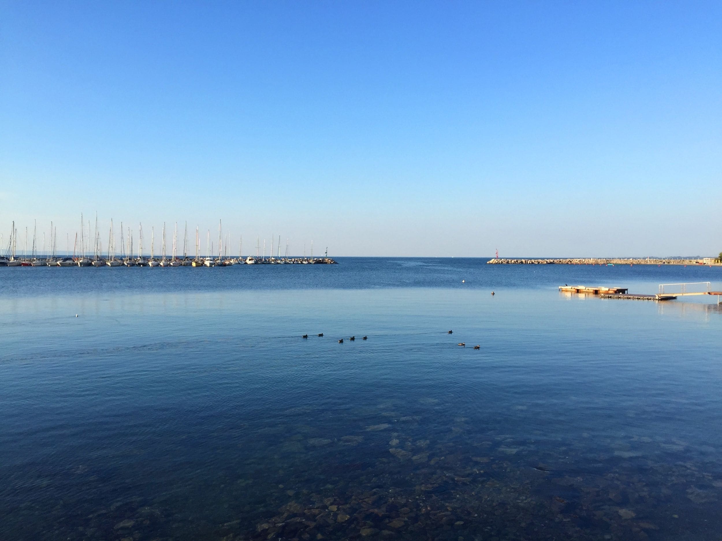 Camping Village Mare Pineta Camping Village Mare Pineta