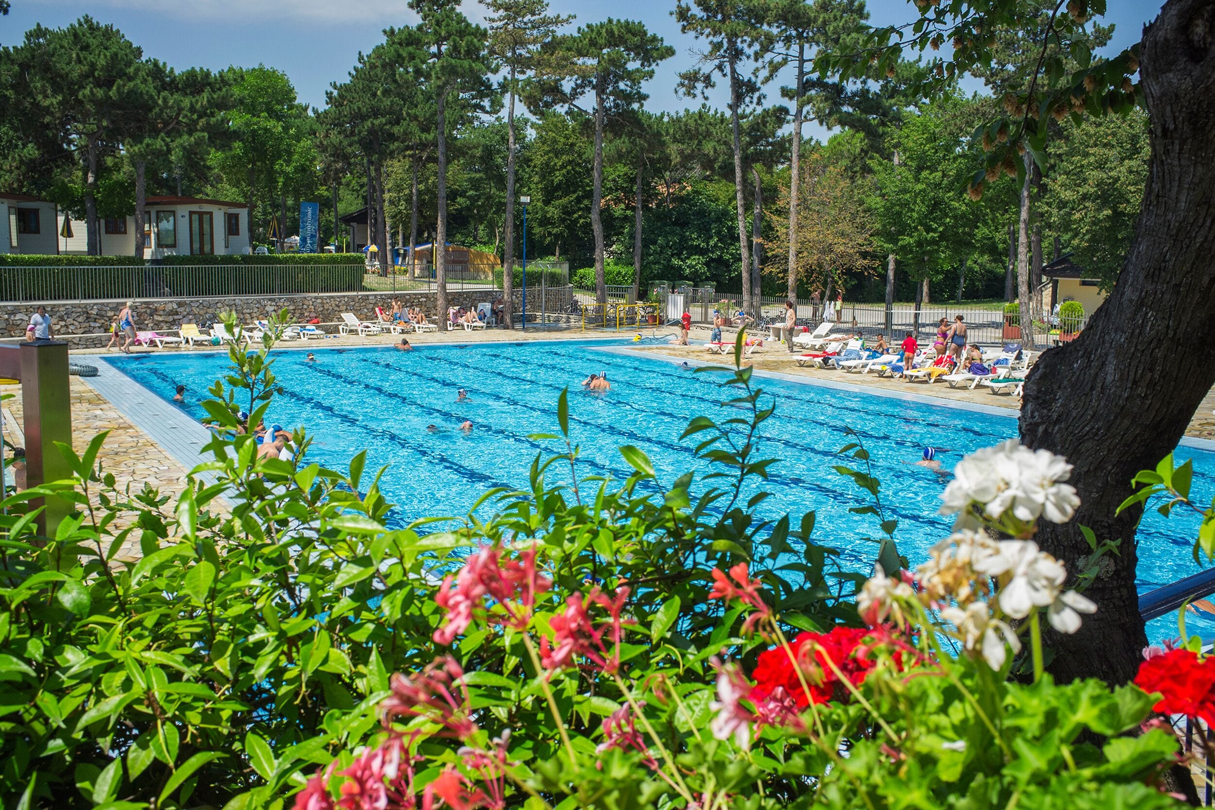Camping Village Mare Pineta Camping Village Mare Pineta