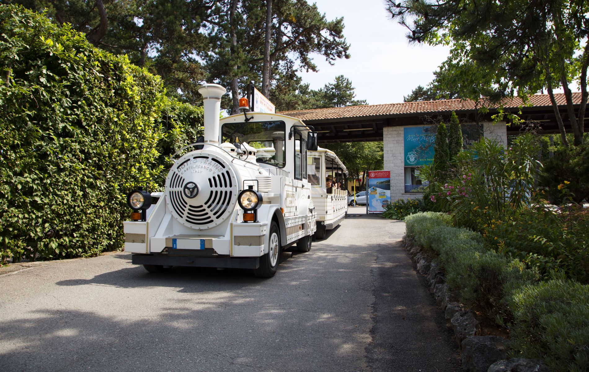 Camping Village Mare Pineta Camping Village Mare Pineta