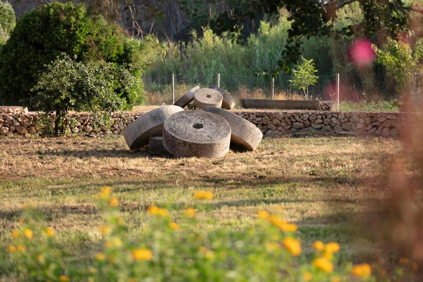 Masseria Mongio dell'Elefante Masseria Mongio dell'Elefante