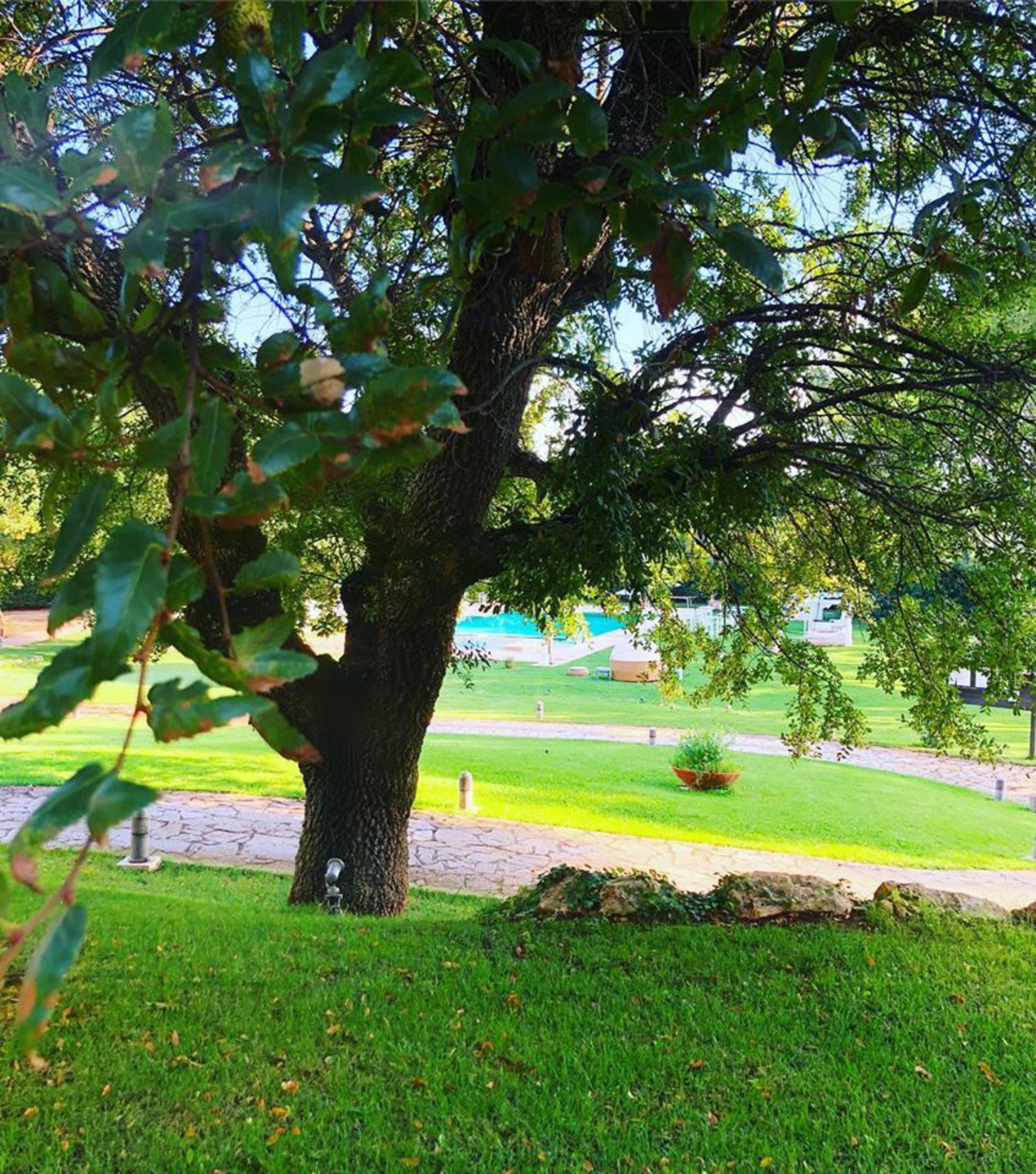 Tenuta Monacelle Tenuta Monacelle