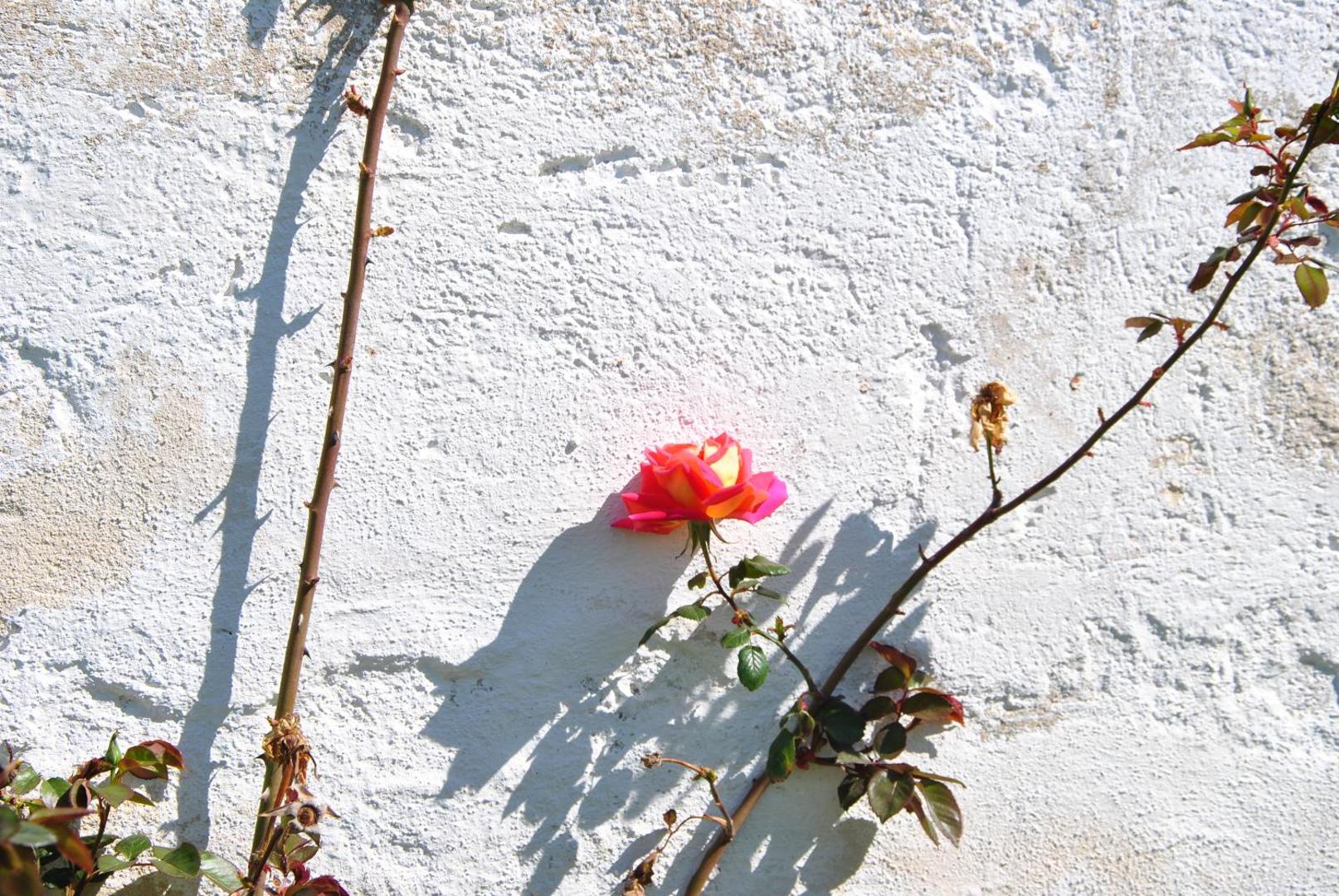Masseria Casale del Murgese