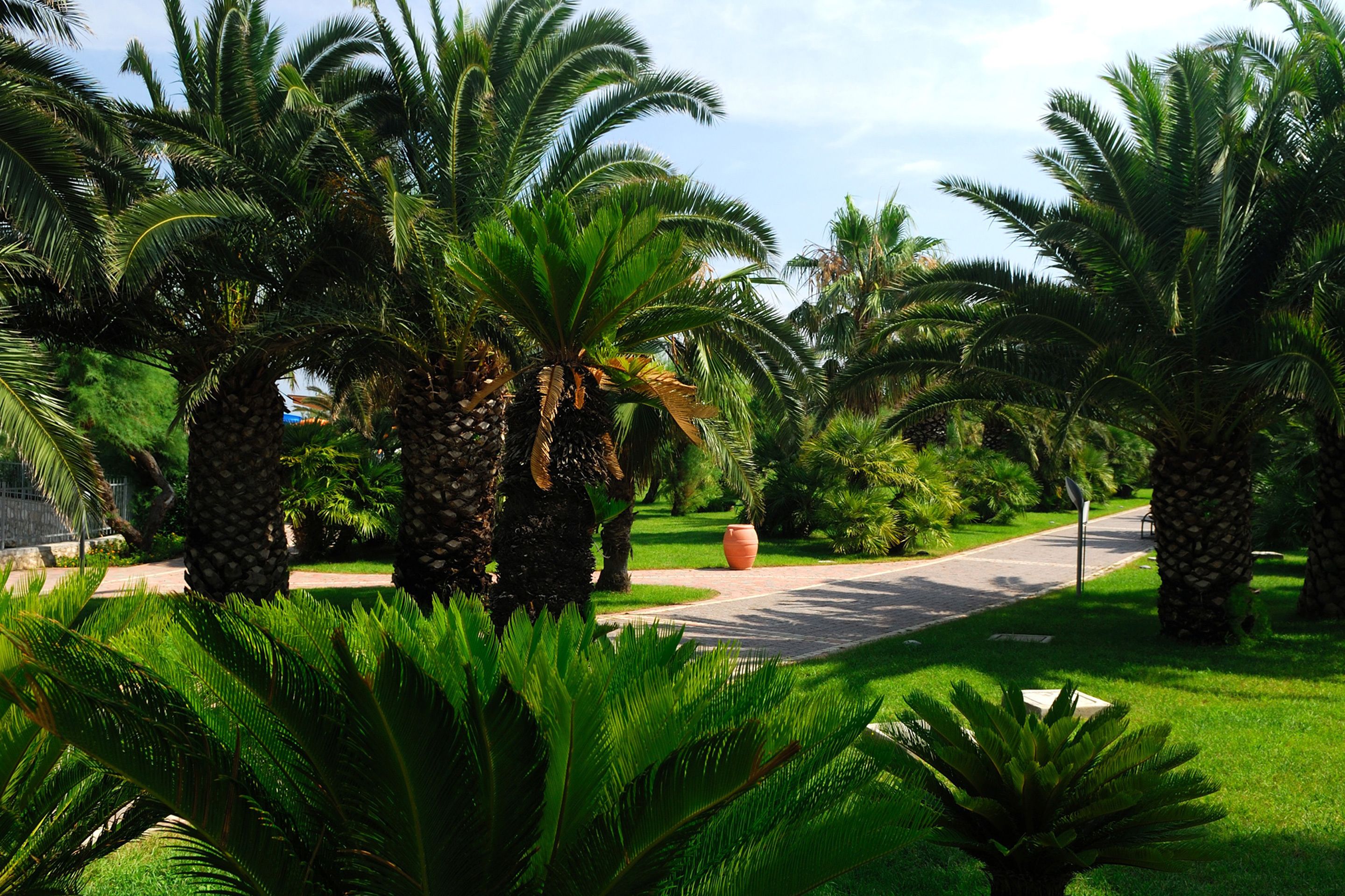 Gran Serena Hotel Gran Serena Hotel