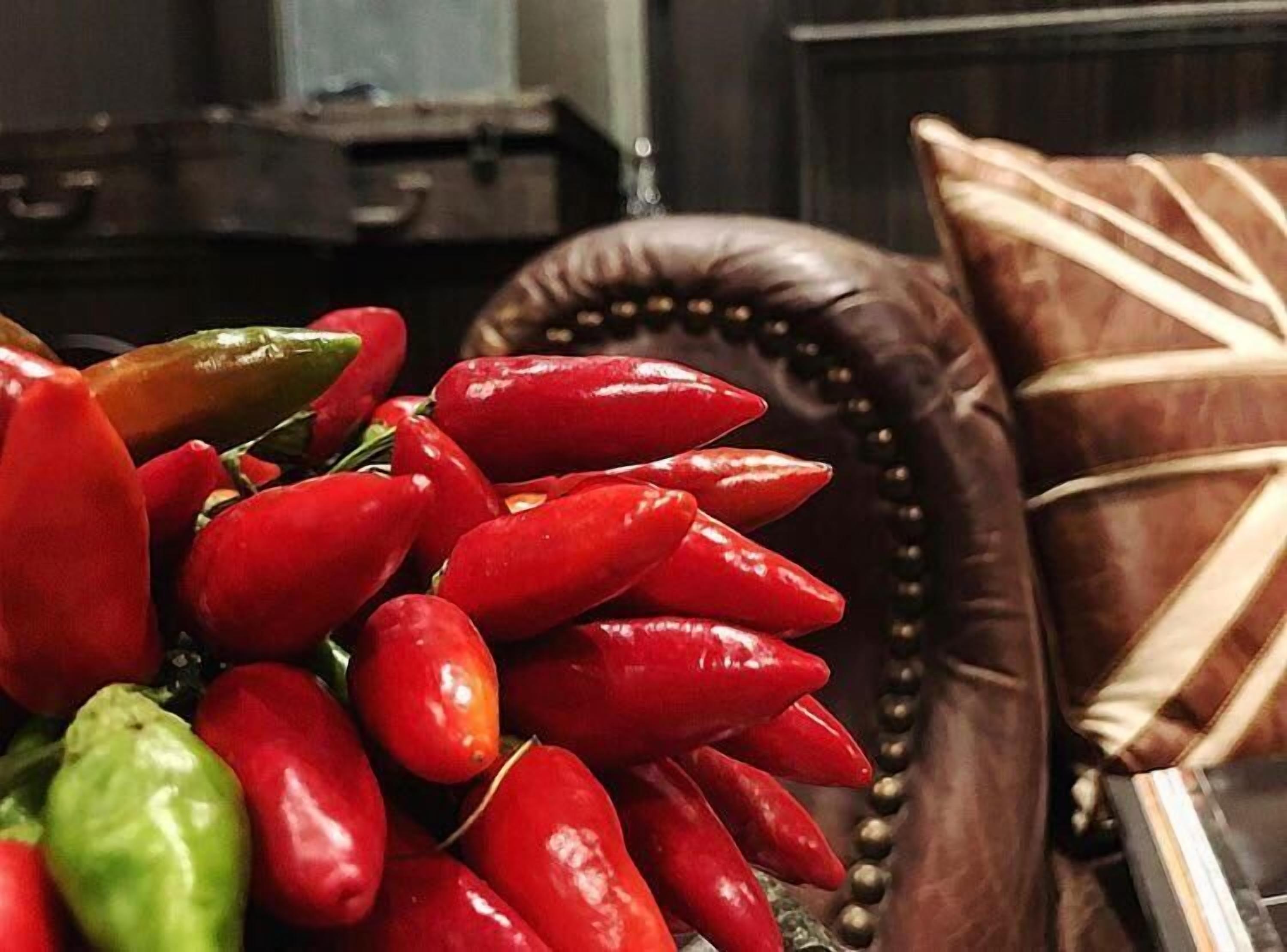 Forvm Luxury Experience - Dependance Forvm Luxury Experience - Dependance