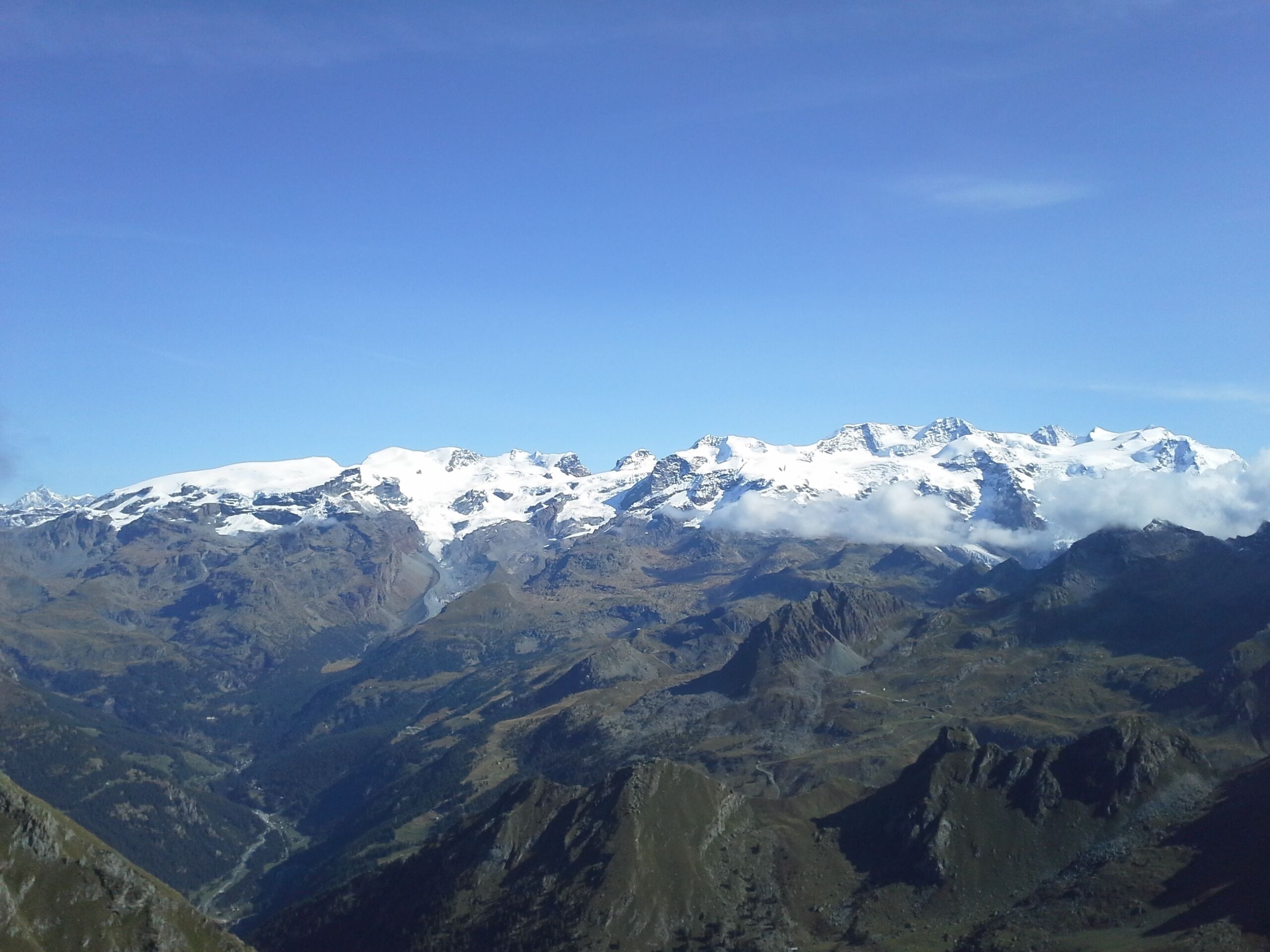 Aethos Monterosa Aethos Monterosa