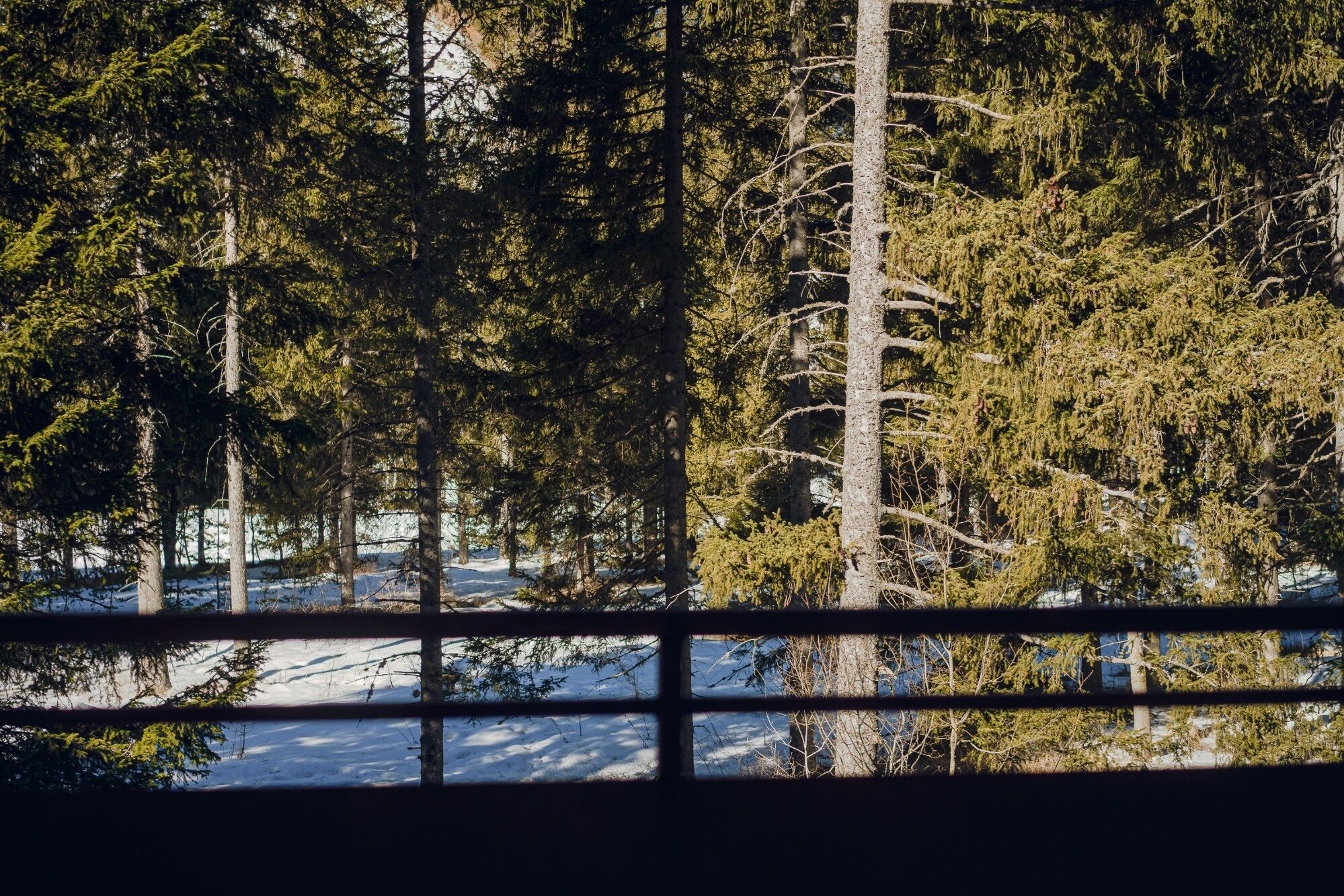 Aethos Monterosa Aethos Monterosa