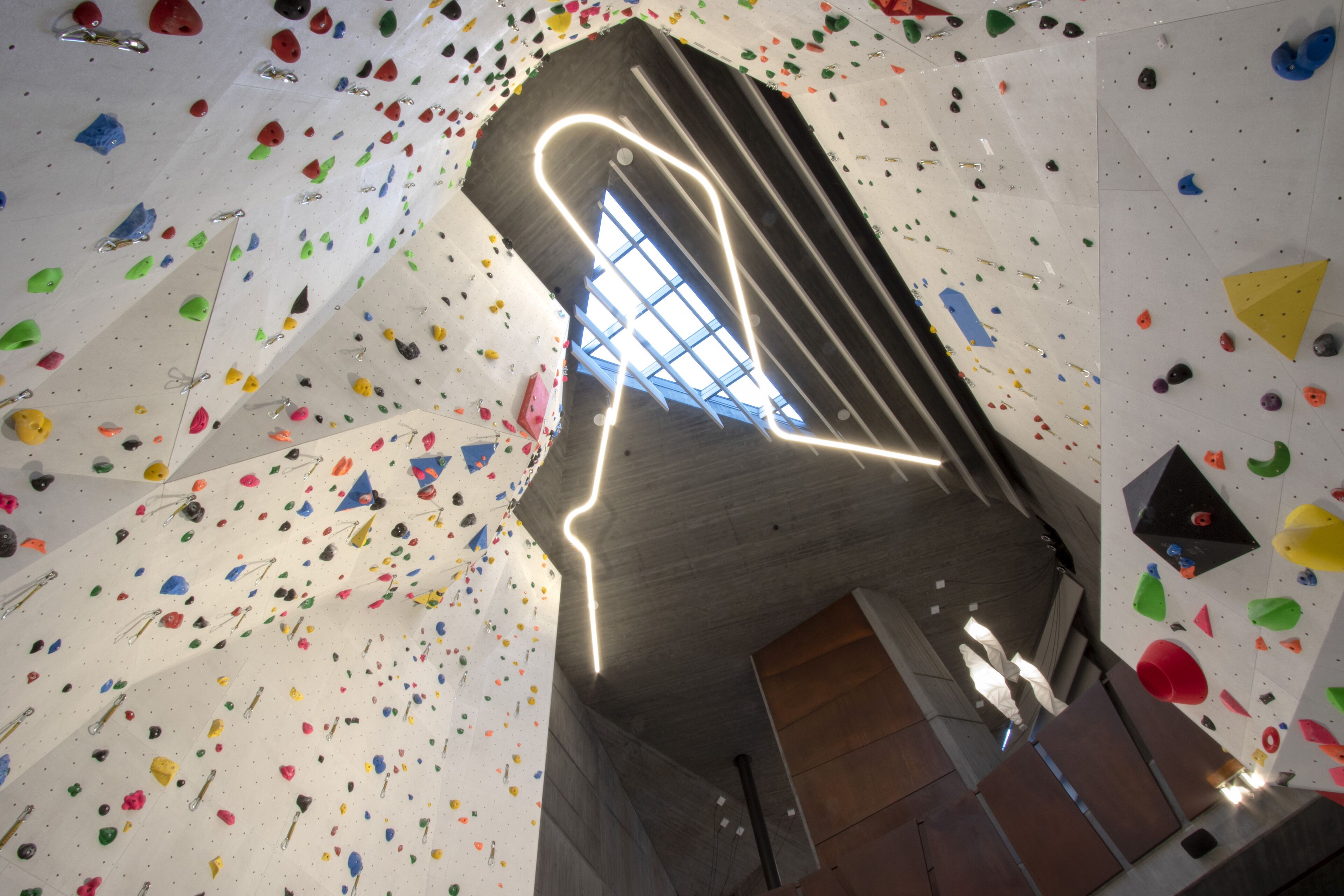 Aethos Monterosa Aethos Monterosa