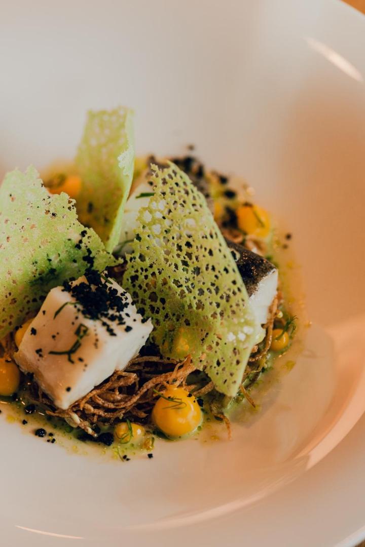 Aethos Monterosa Aethos Monterosa