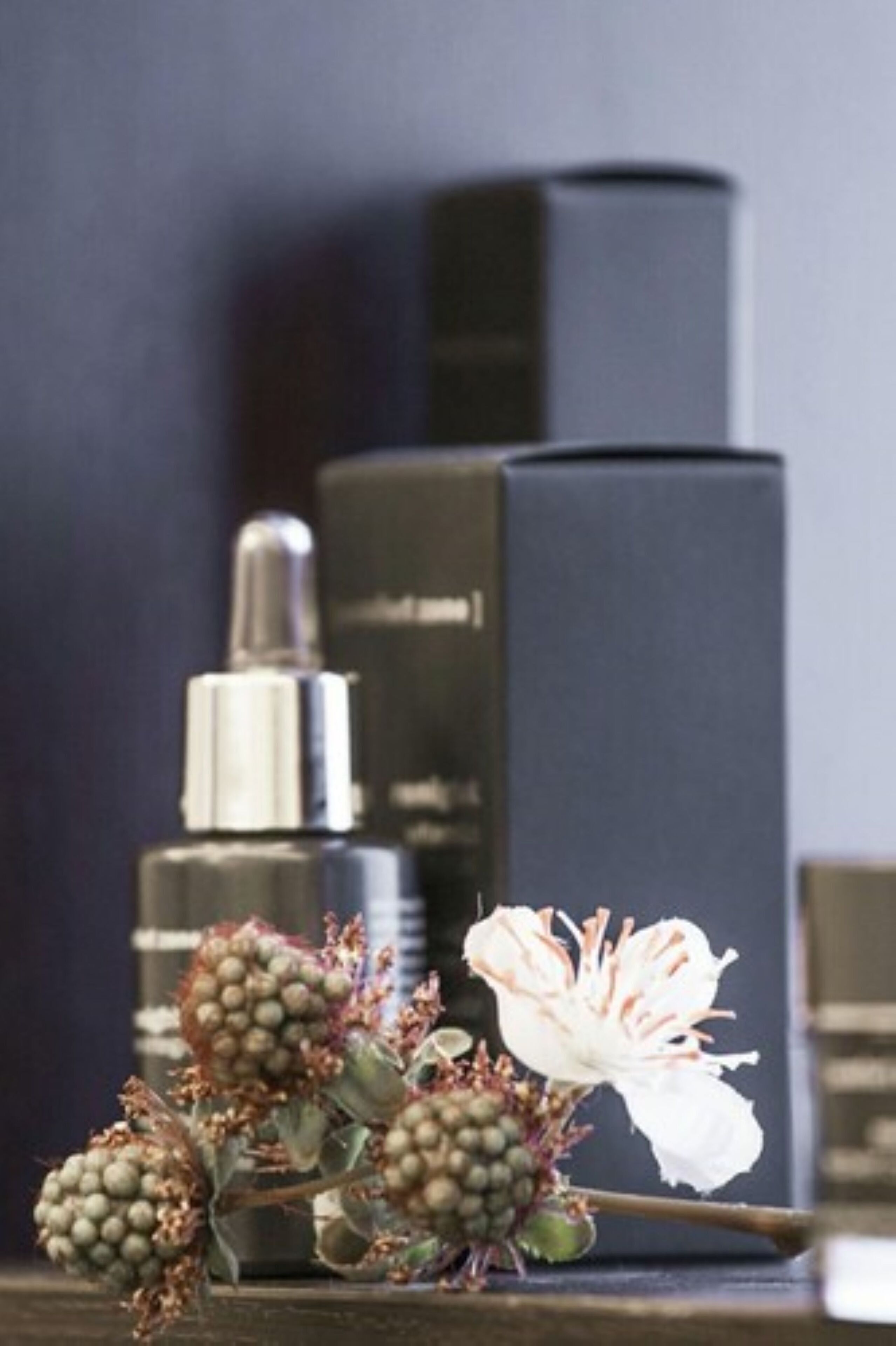 San Severino Park Hotel & SPA, BW Signature Collection San Severino Park Hotel & SPA, BW Signature Collection