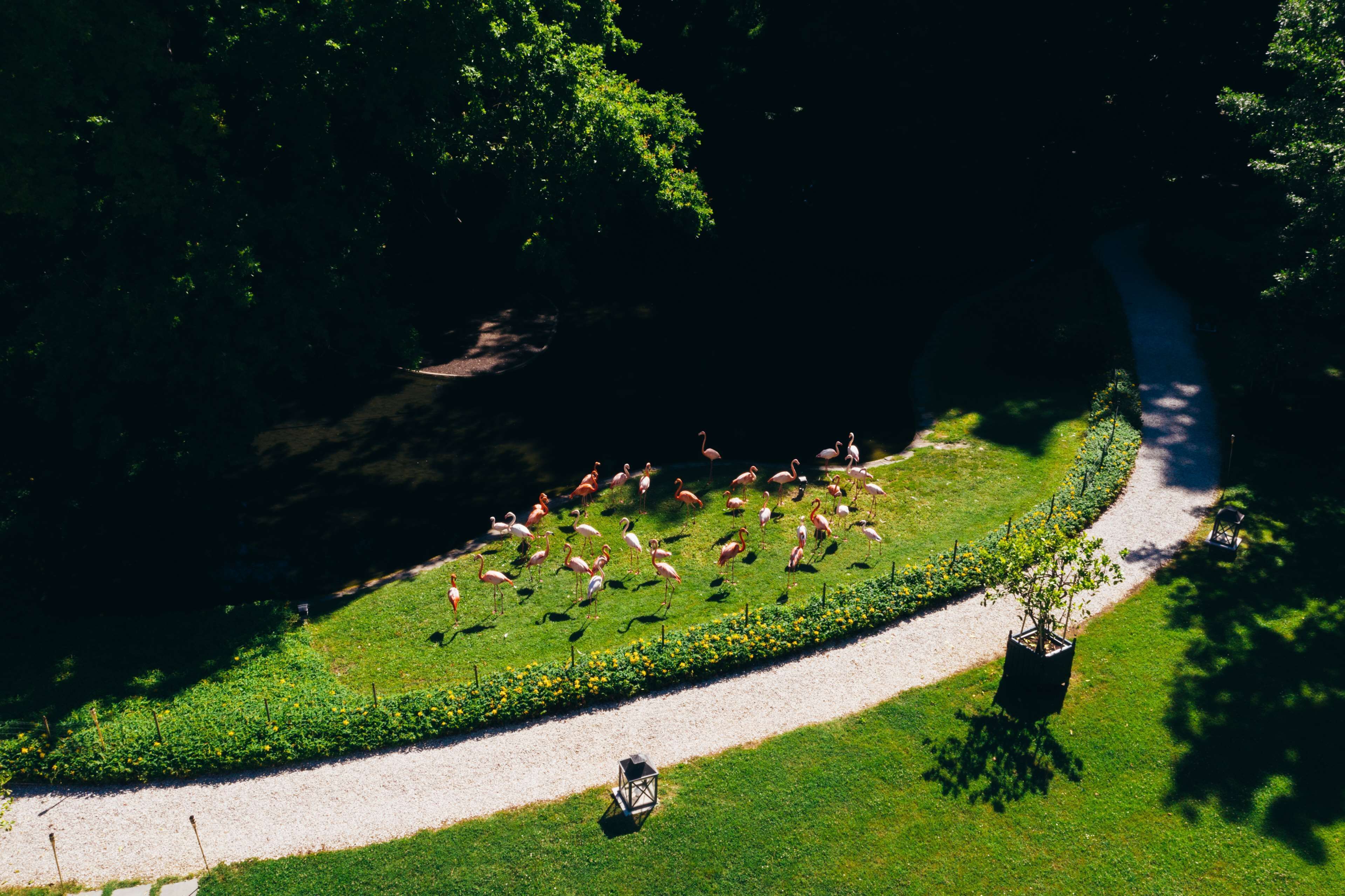 Villa Abbondanzi Resort Villa Abbondanzi Resort