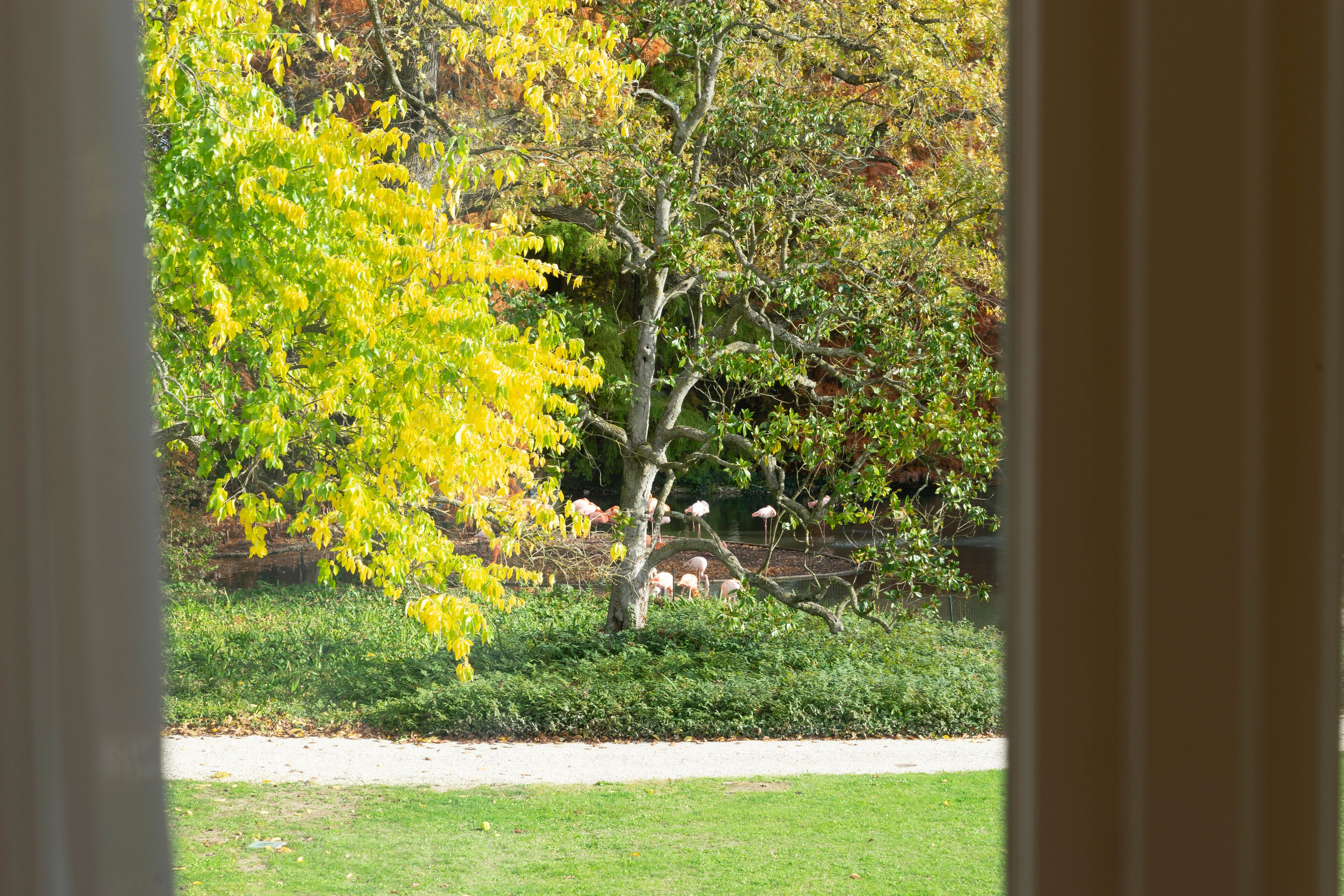 Villa Abbondanzi Resort Villa Abbondanzi Resort