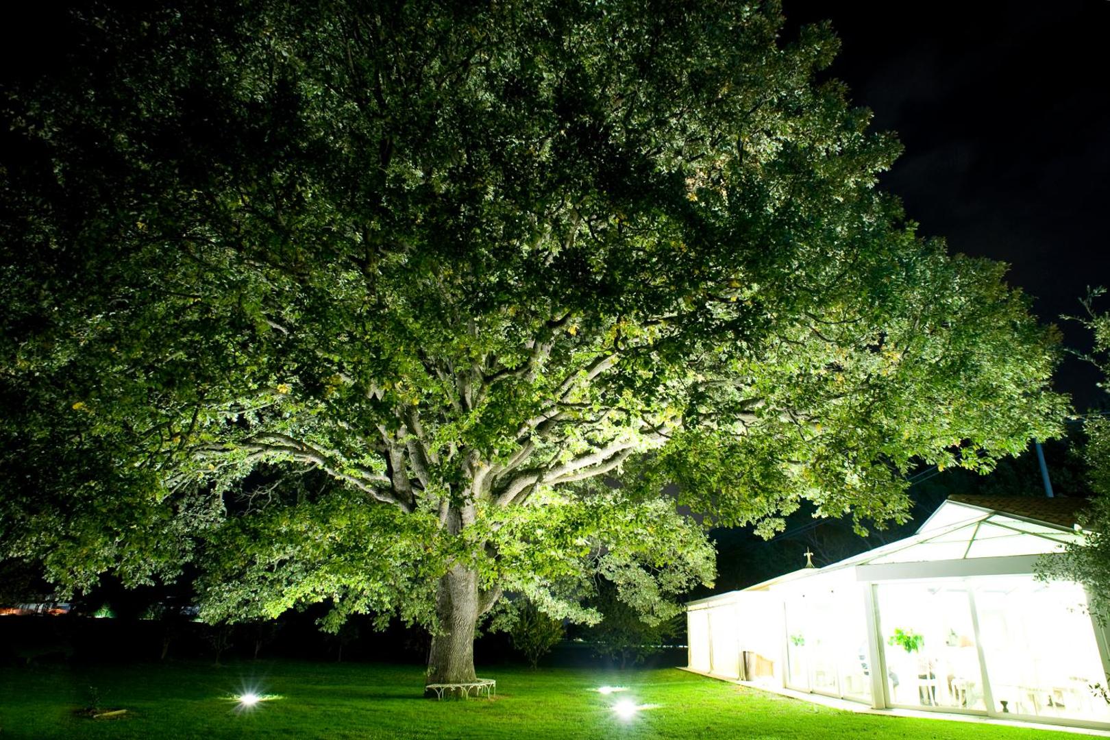 Villa Abbondanzi Resort Villa Abbondanzi Resort