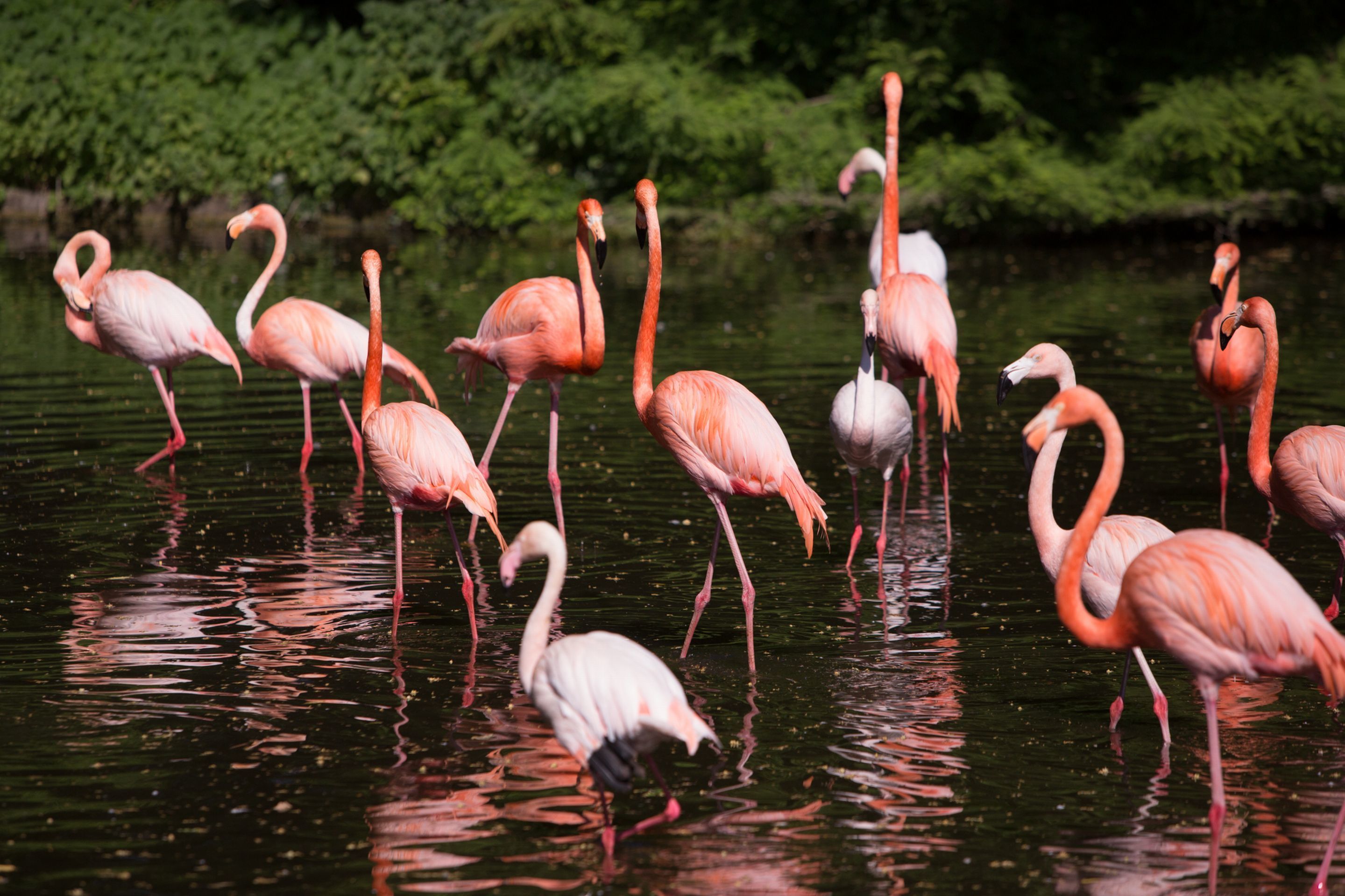 Villa Abbondanzi Resort Villa Abbondanzi Resort