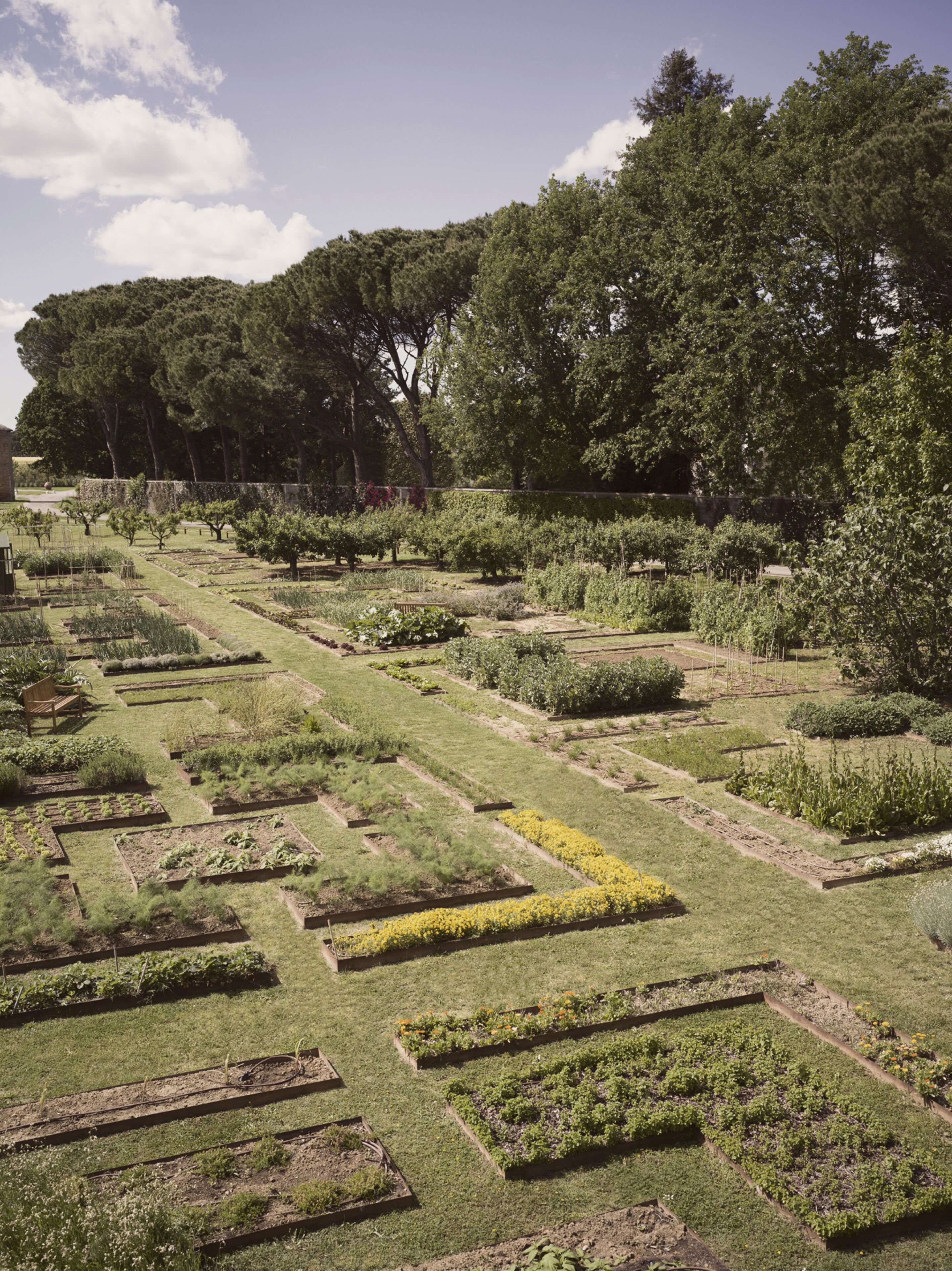 Villa Abbondanzi Resort Villa Abbondanzi Resort