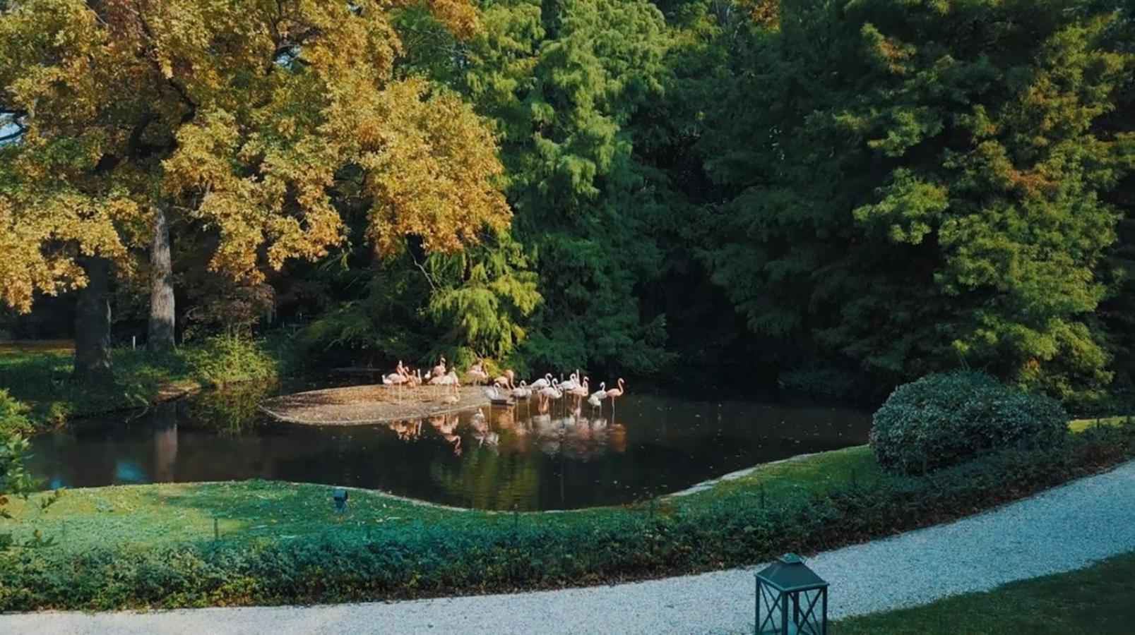 Villa Abbondanzi Resort Villa Abbondanzi Resort