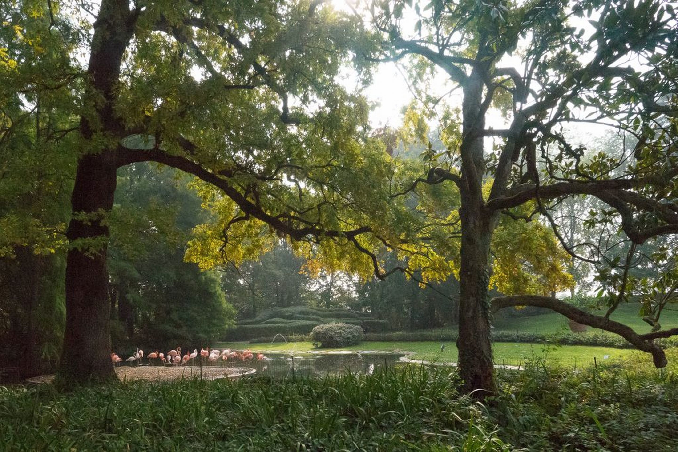 Villa Abbondanzi Resort Villa Abbondanzi Resort