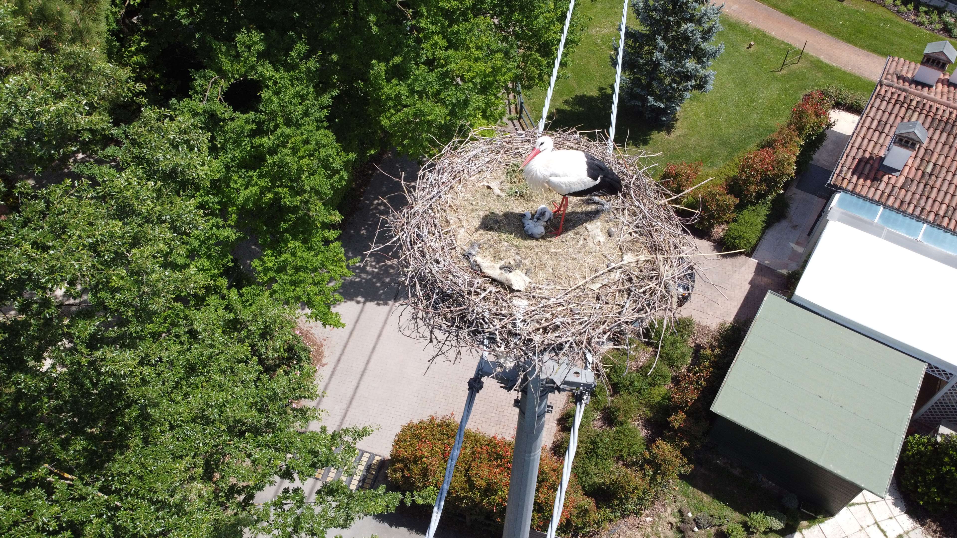 Villa Abbondanzi Resort Villa Abbondanzi Resort