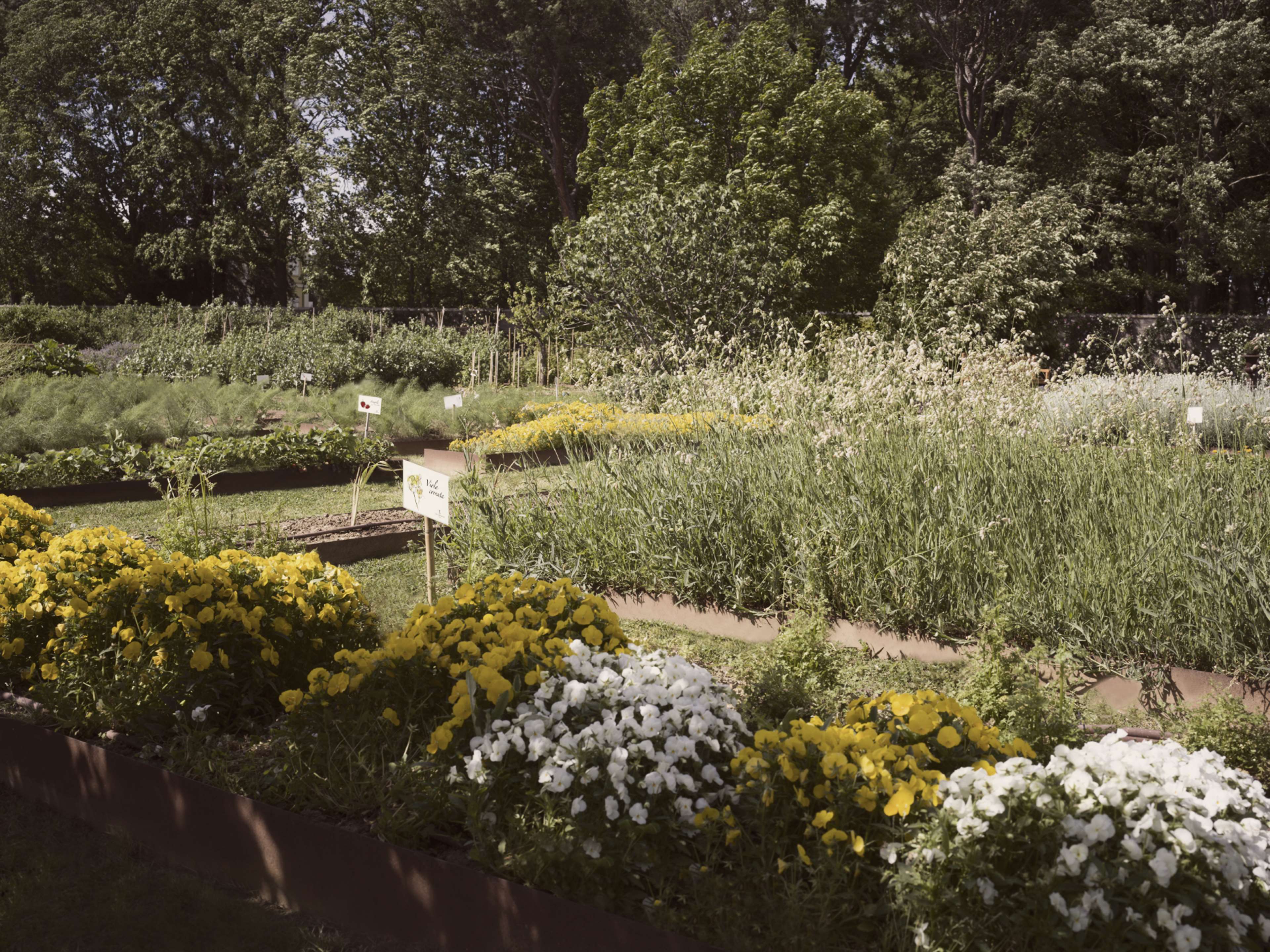 Villa Abbondanzi Resort Villa Abbondanzi Resort