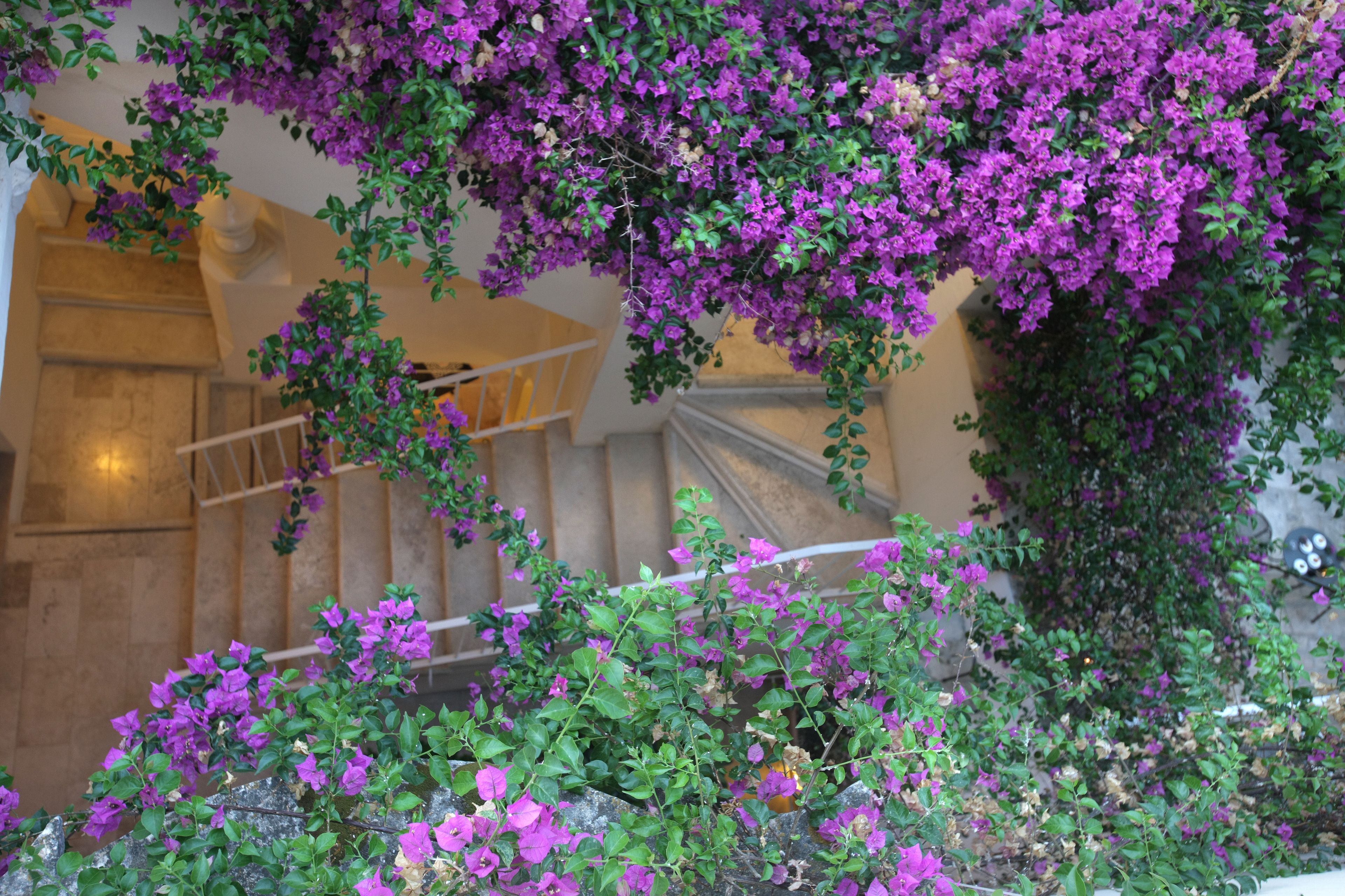 Relais Corte Palmieri Relais Corte Palmieri