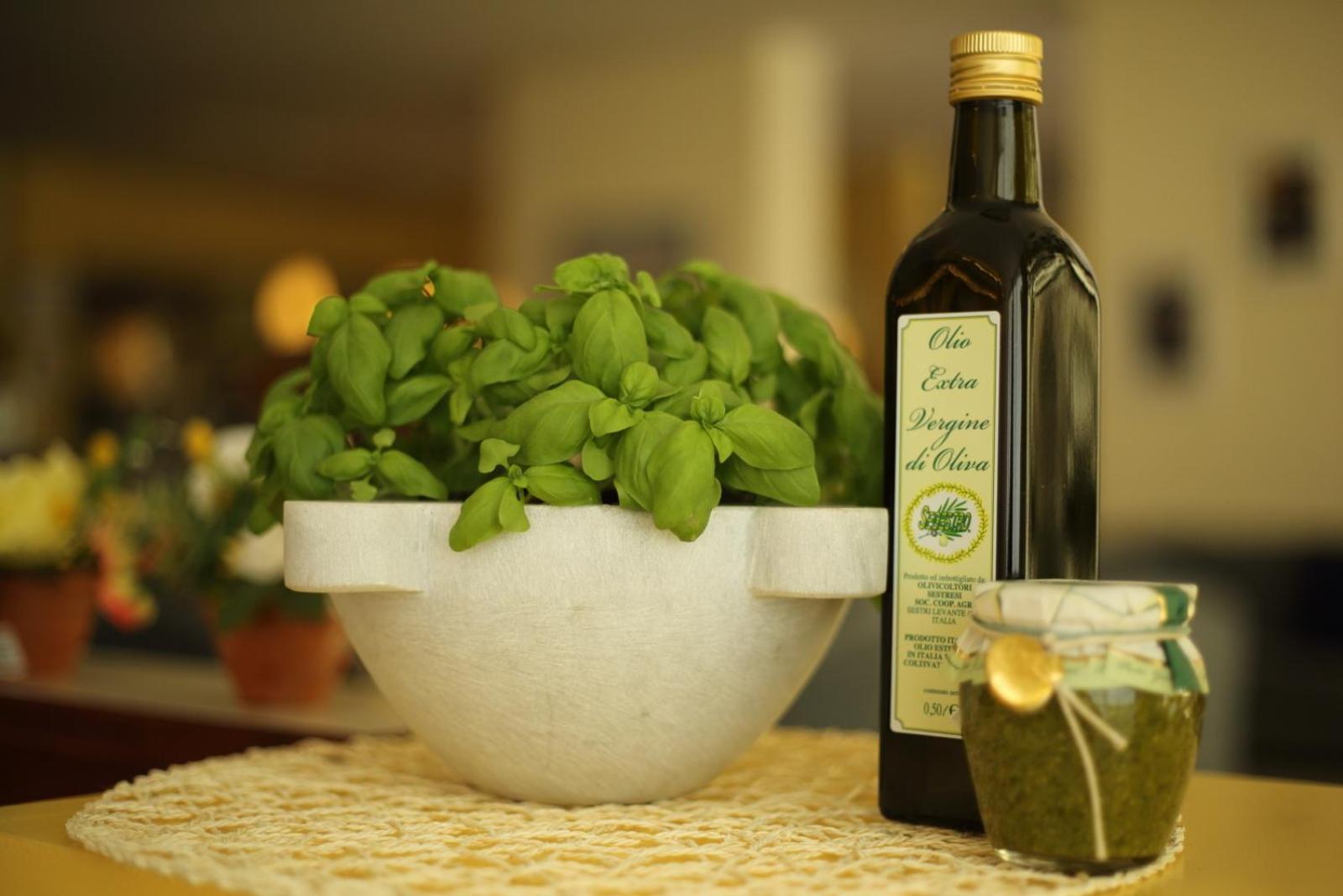 Hotel Doria Hotel Doria