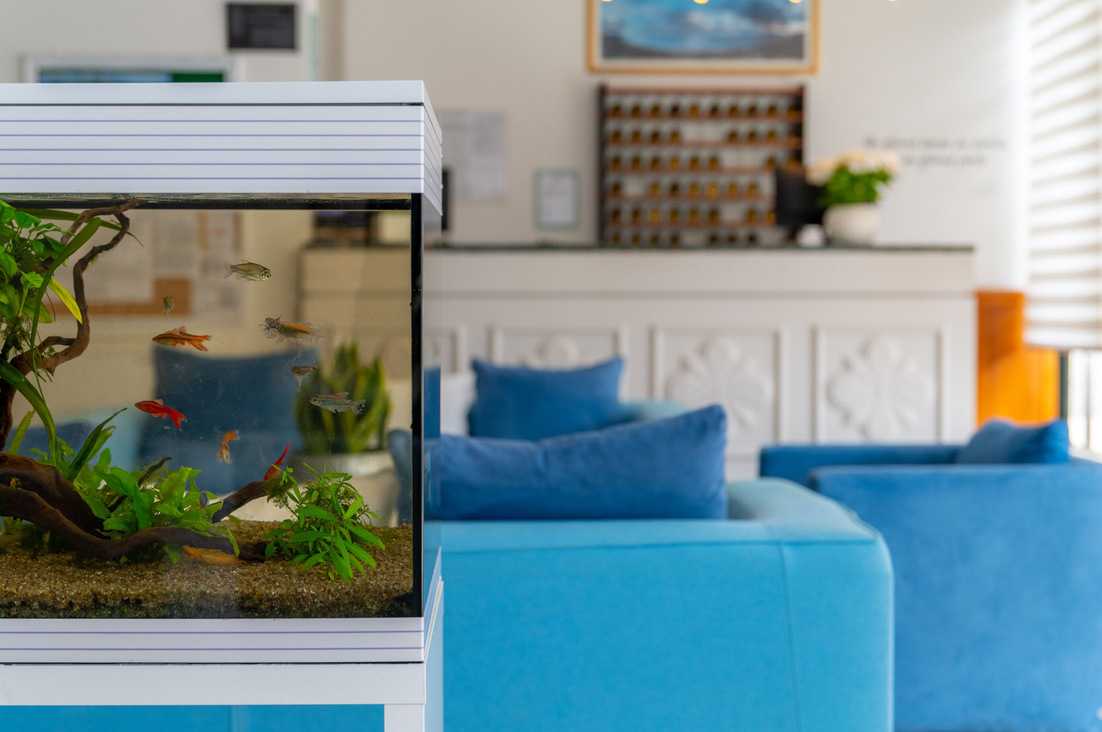 Hotel Doria Hotel Doria