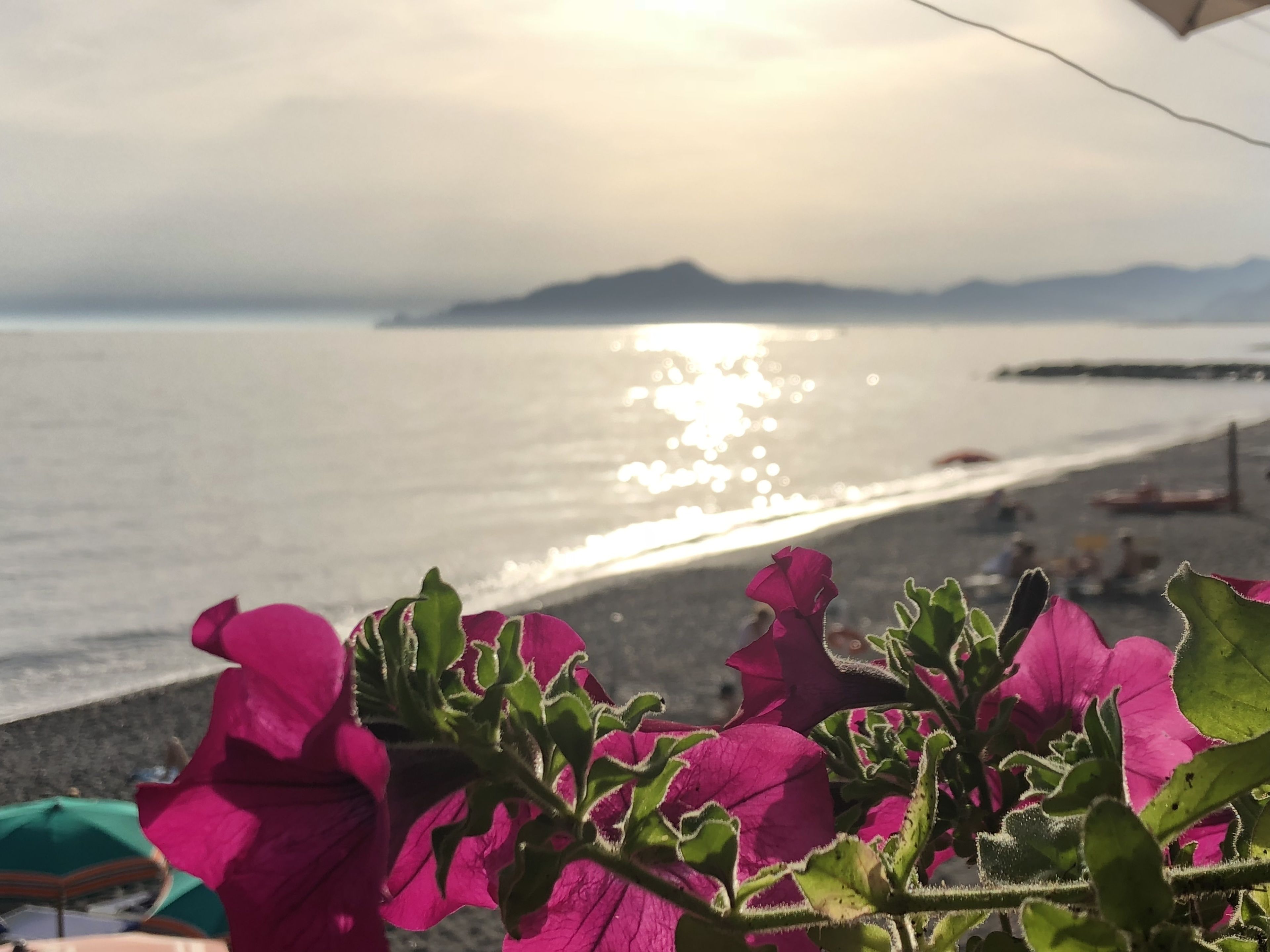 Hotel Doria Hotel Doria