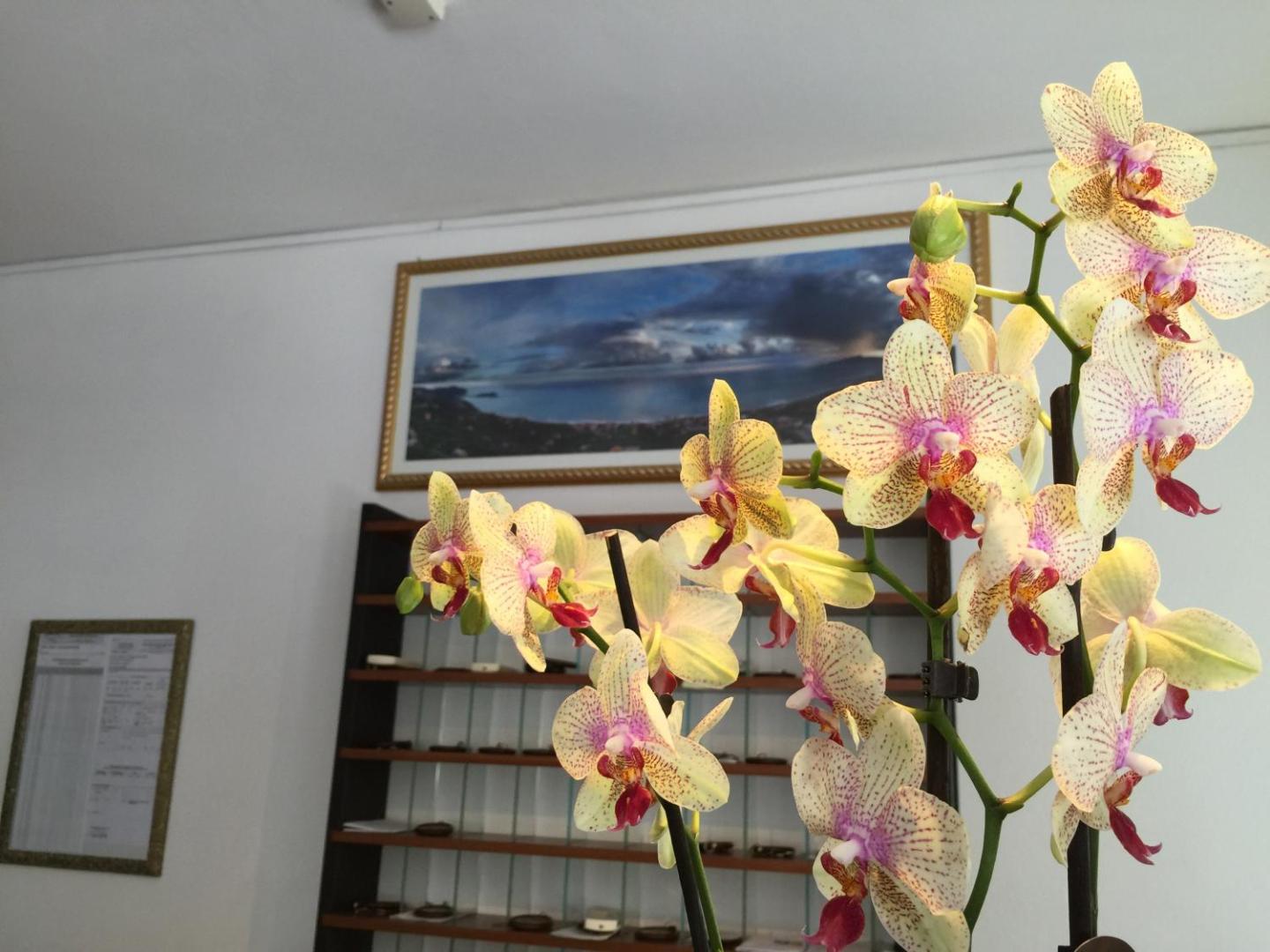 Hotel Doria Hotel Doria