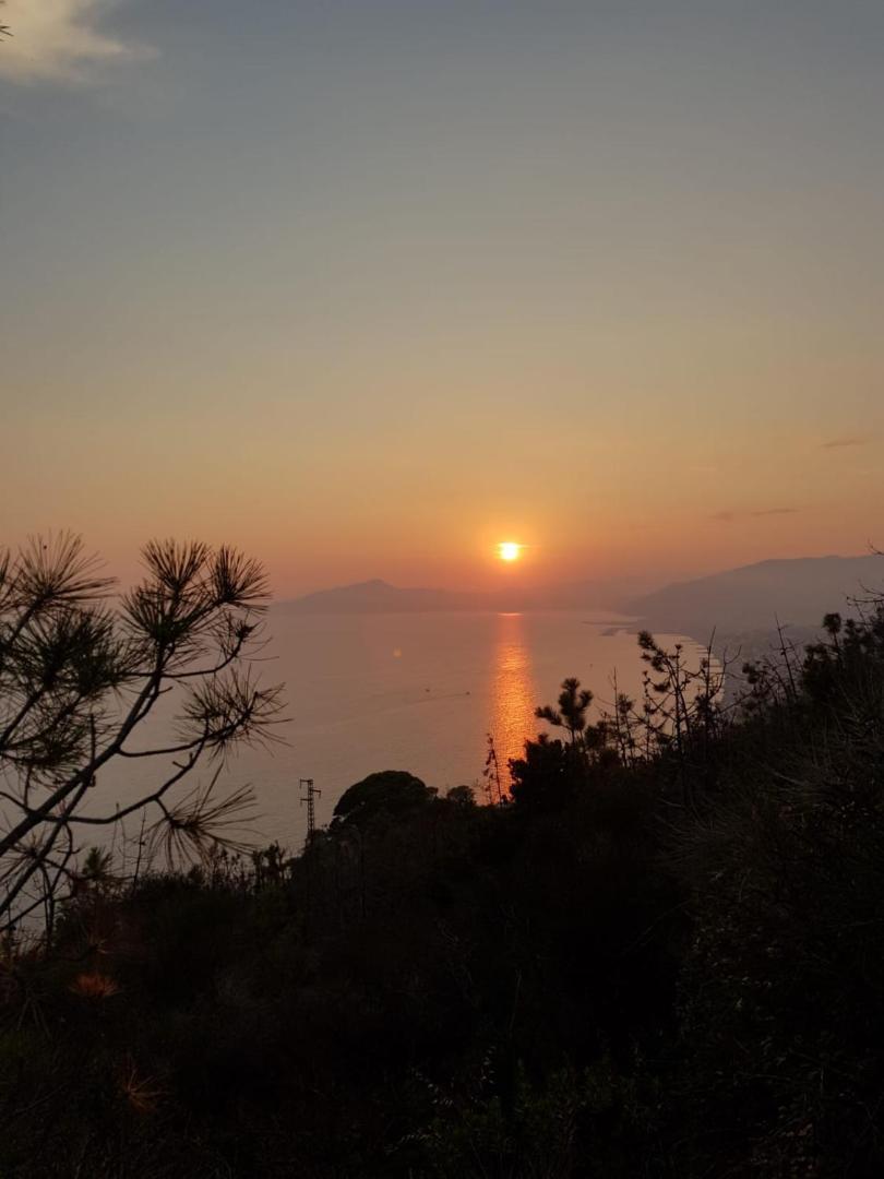 Hotel Doria Hotel Doria