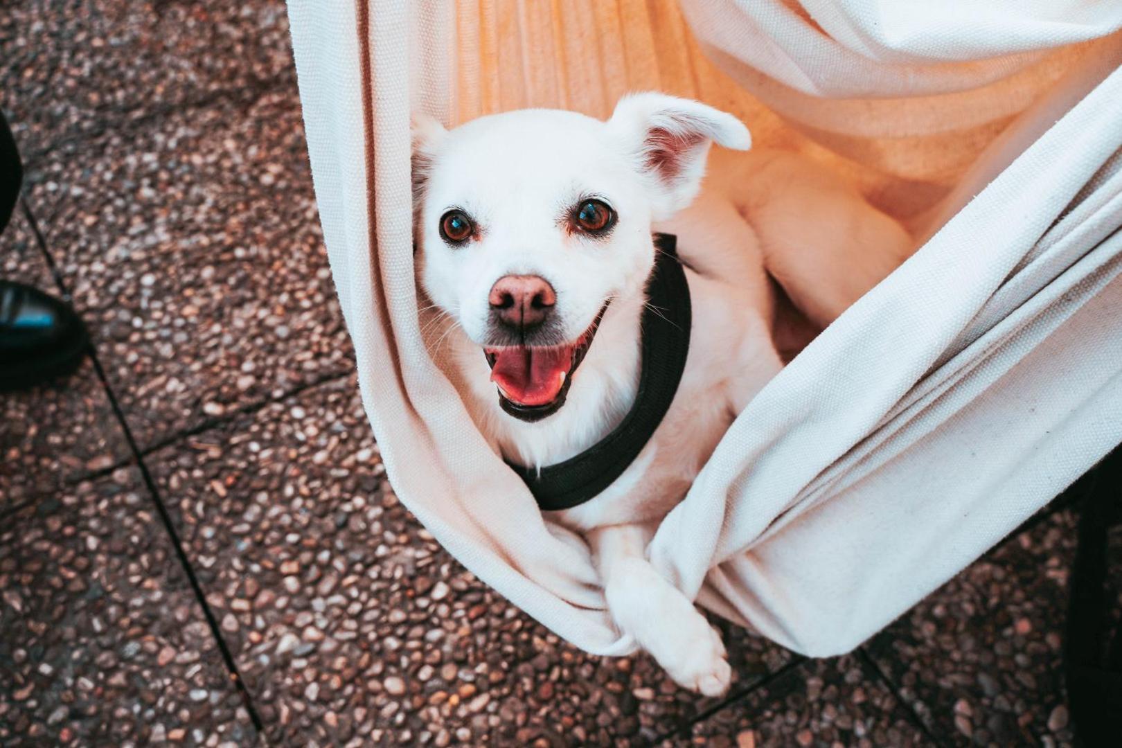 Ostello Bello Grande Ostello Bello Grande