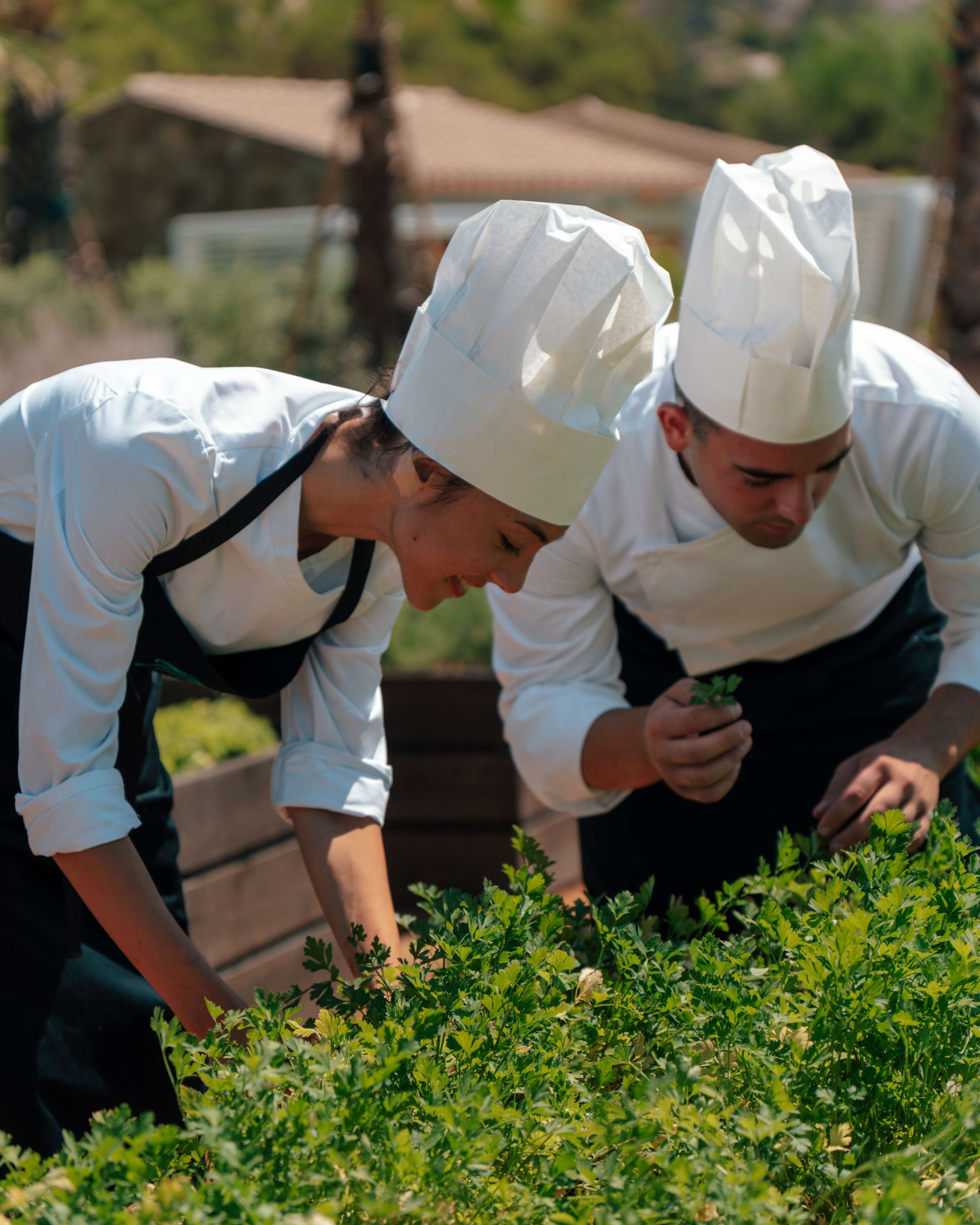 7Pines Resort Sardinia