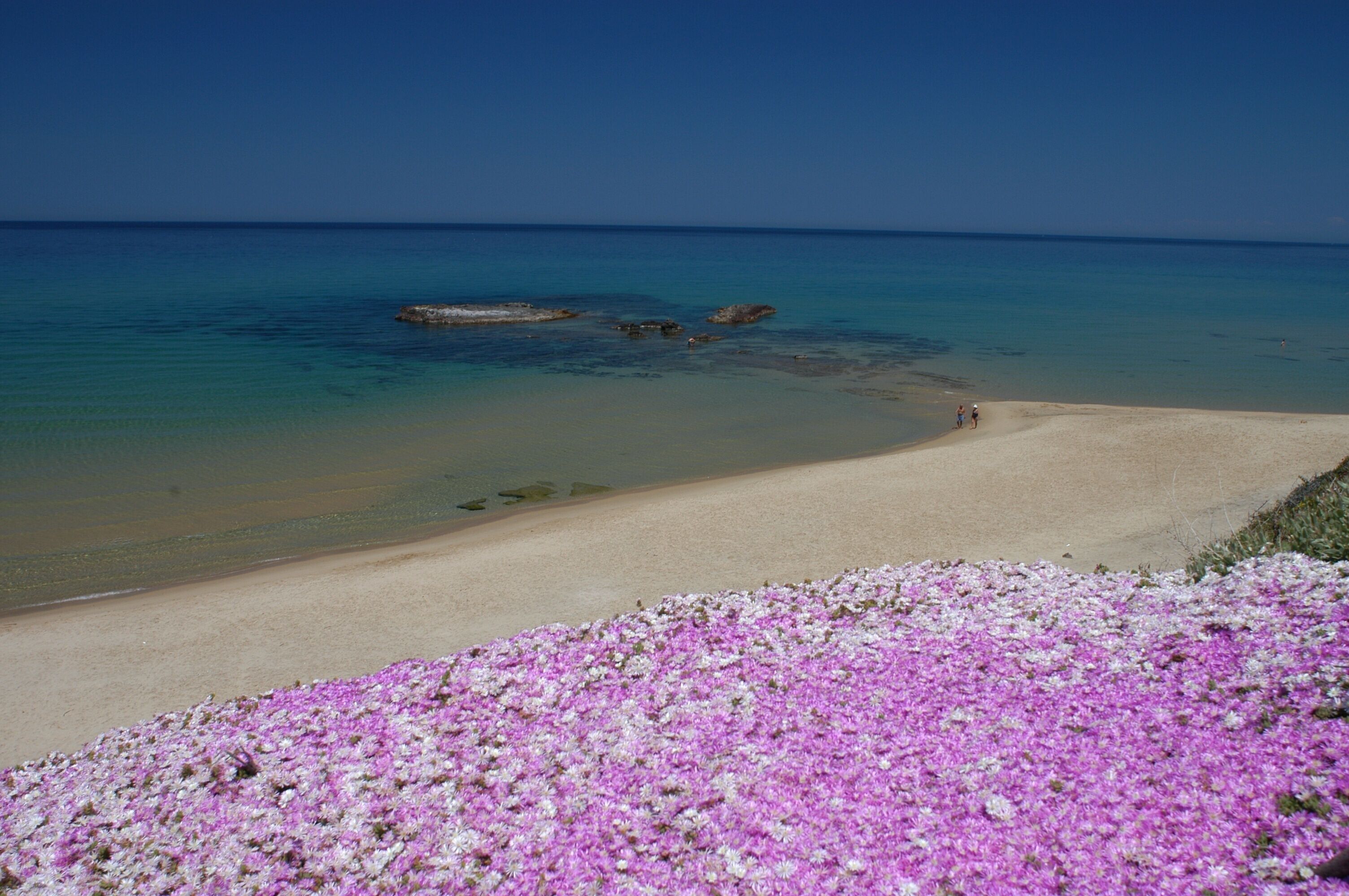 Best Western Hotel Blumarea - Castelsardo Best Western Hotel Blumarea - Castelsardo