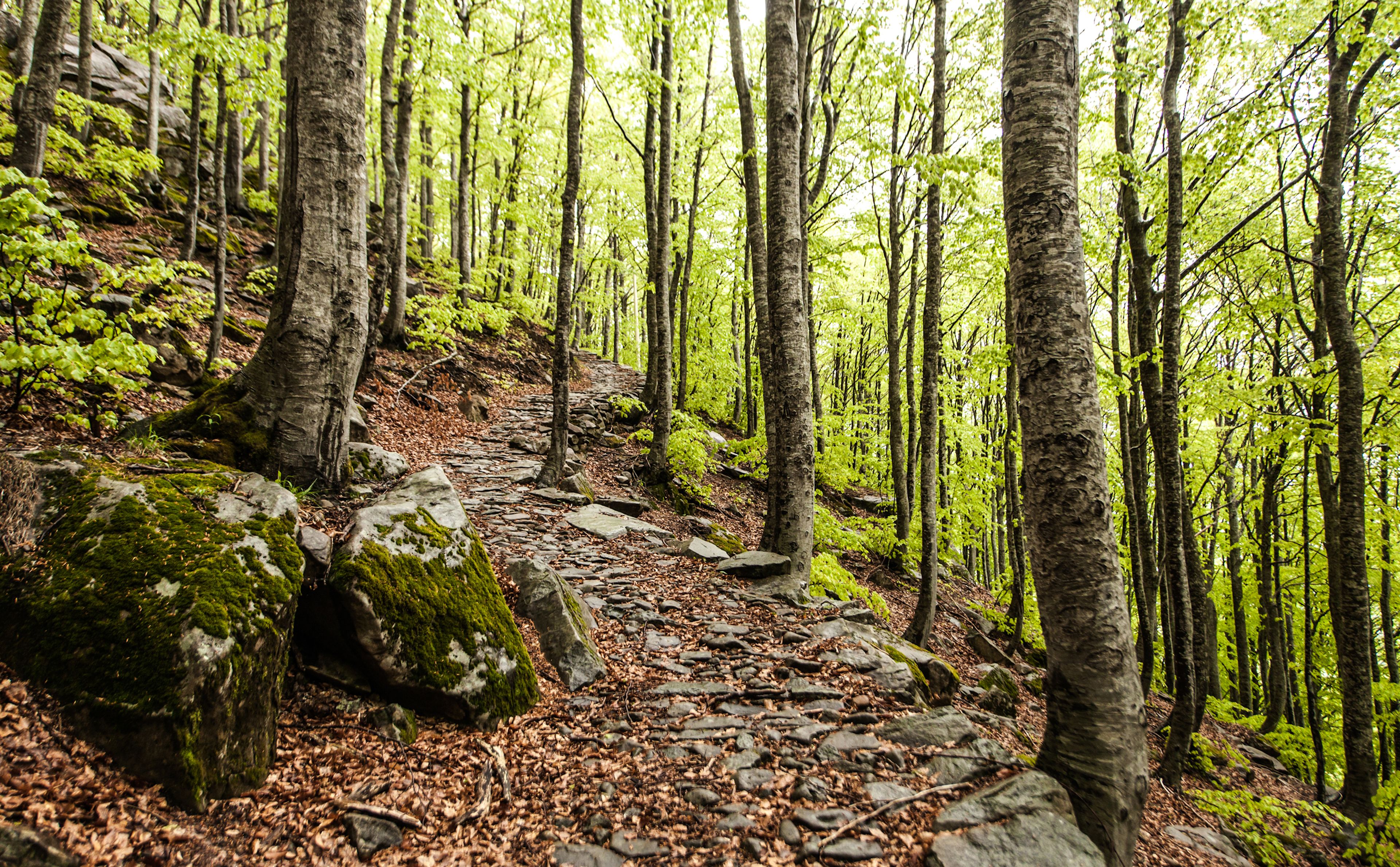 Renaissance Tuscany Il Ciocco Resort & Spa