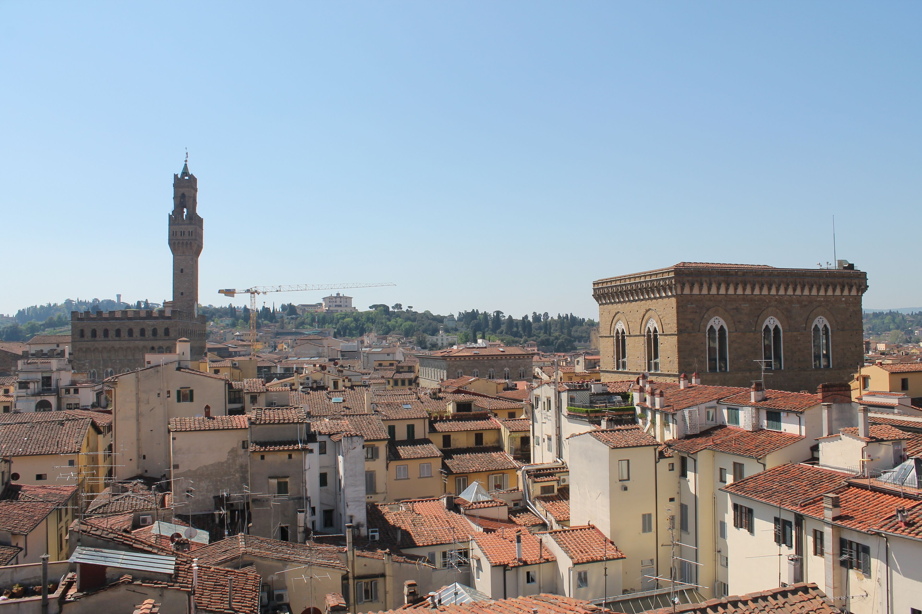 Donati Luxury Tower Donati Luxury Tower