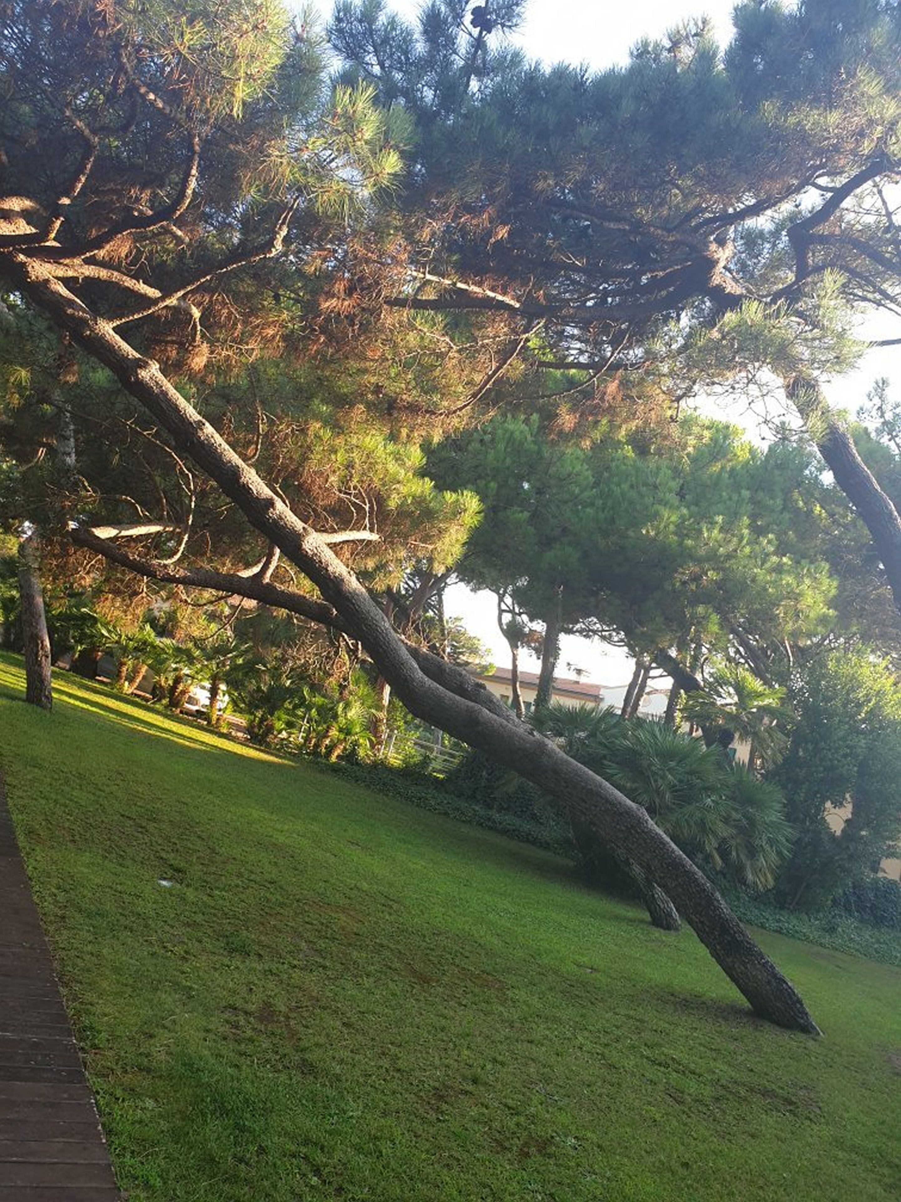 Tombolo Talasso Resort