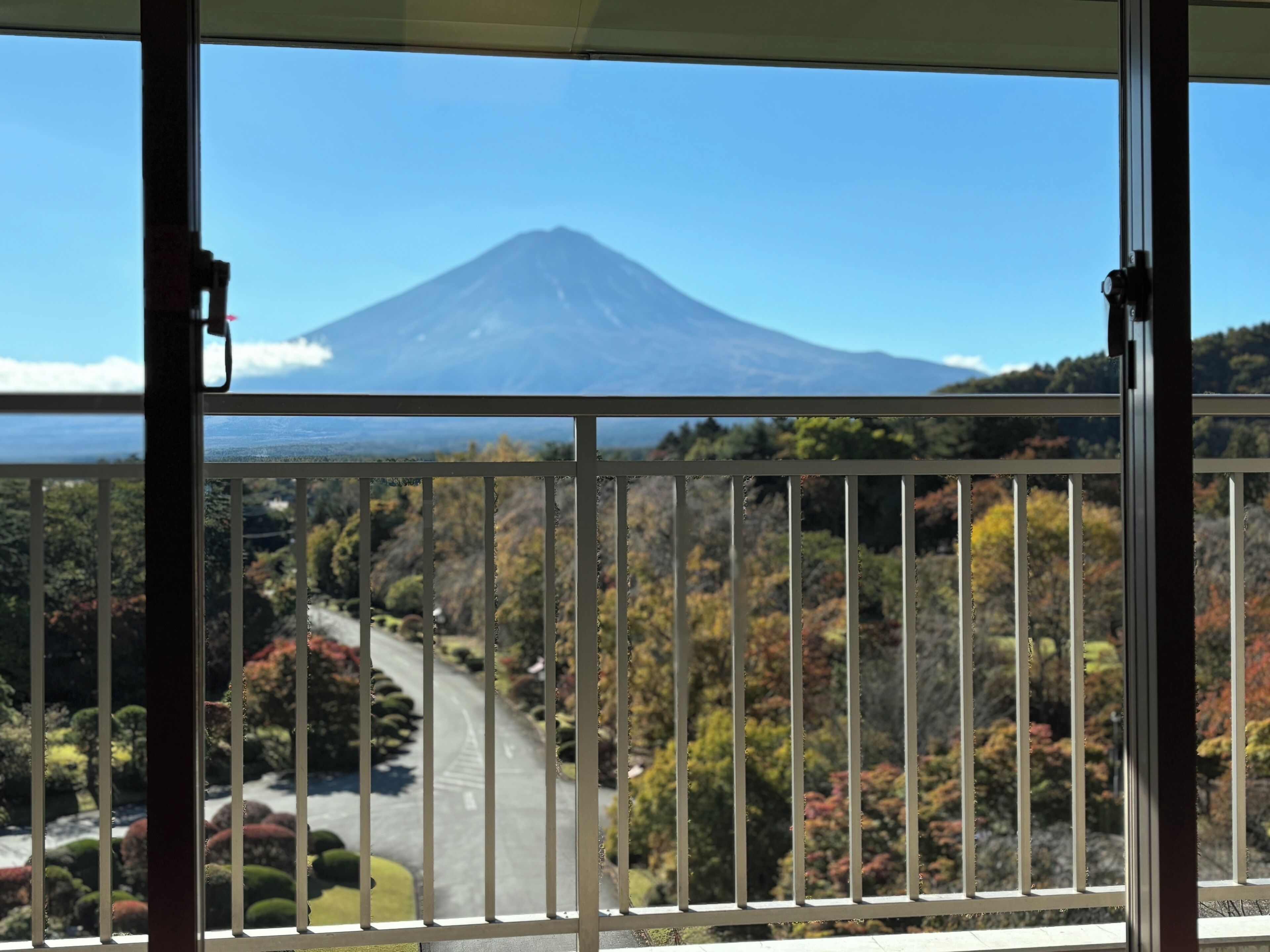 Fuji View