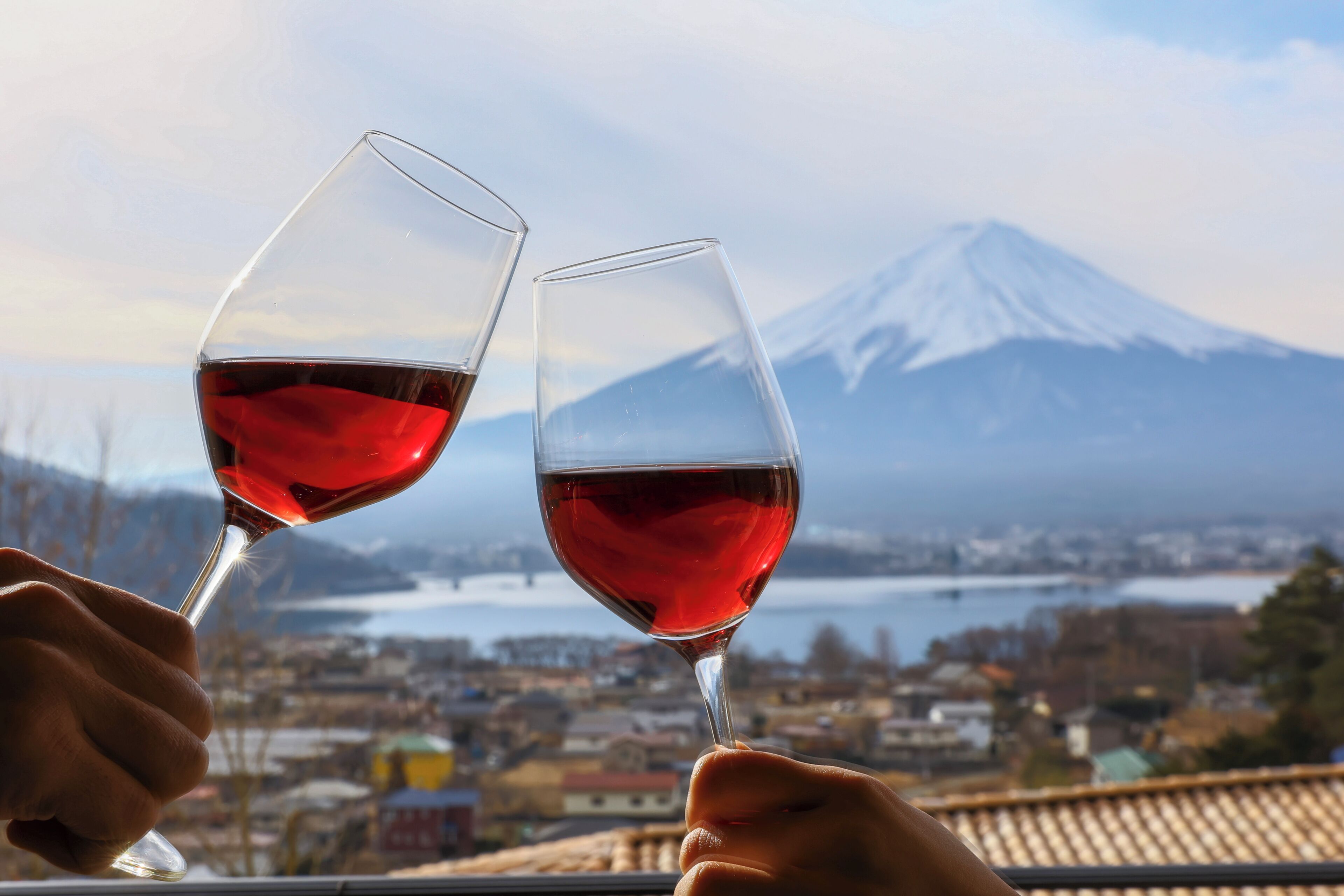 La Vista Fuji-Kawaguchiko La Vista Fuji-Kawaguchiko