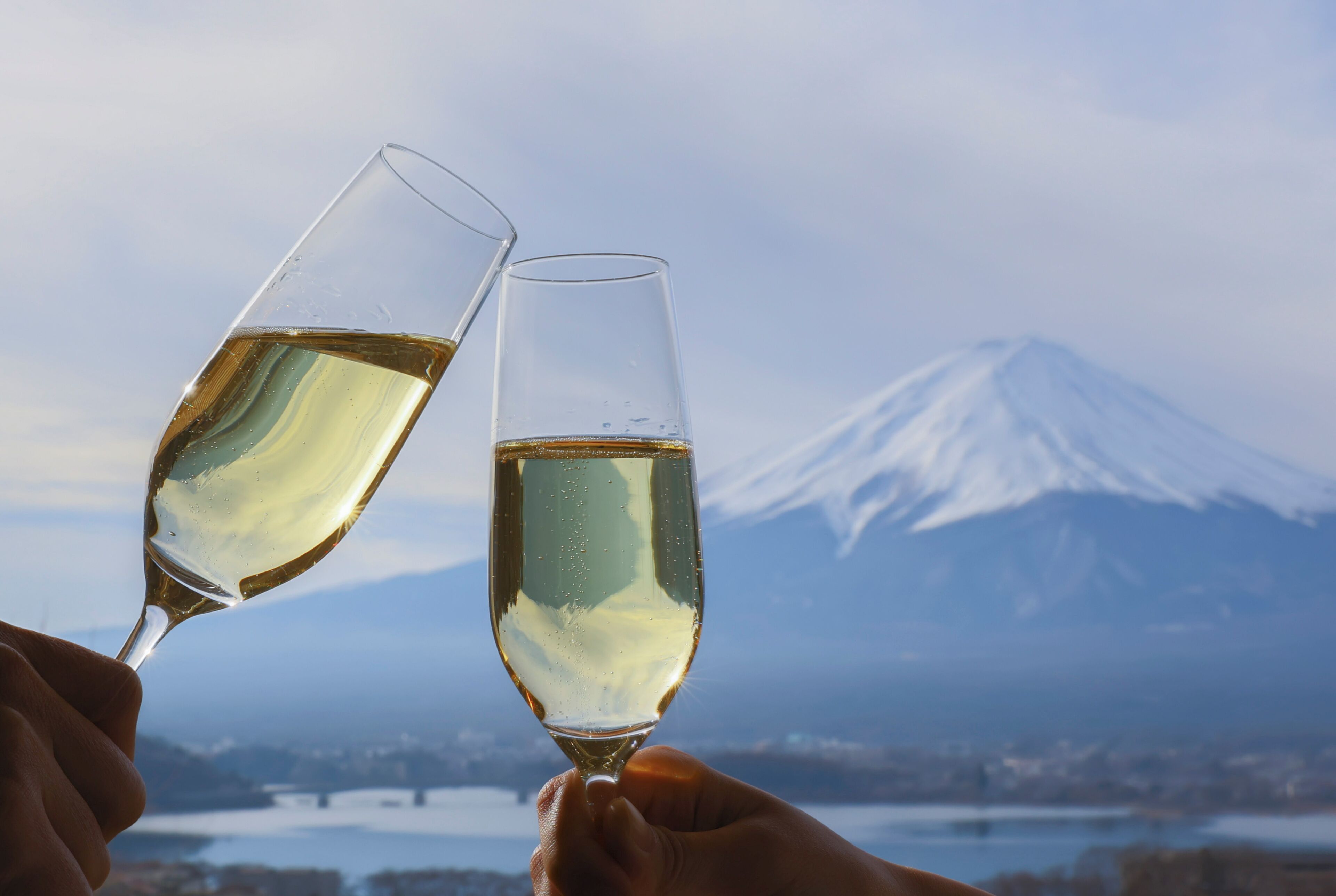 La Vista Fuji-Kawaguchiko La Vista Fuji-Kawaguchiko