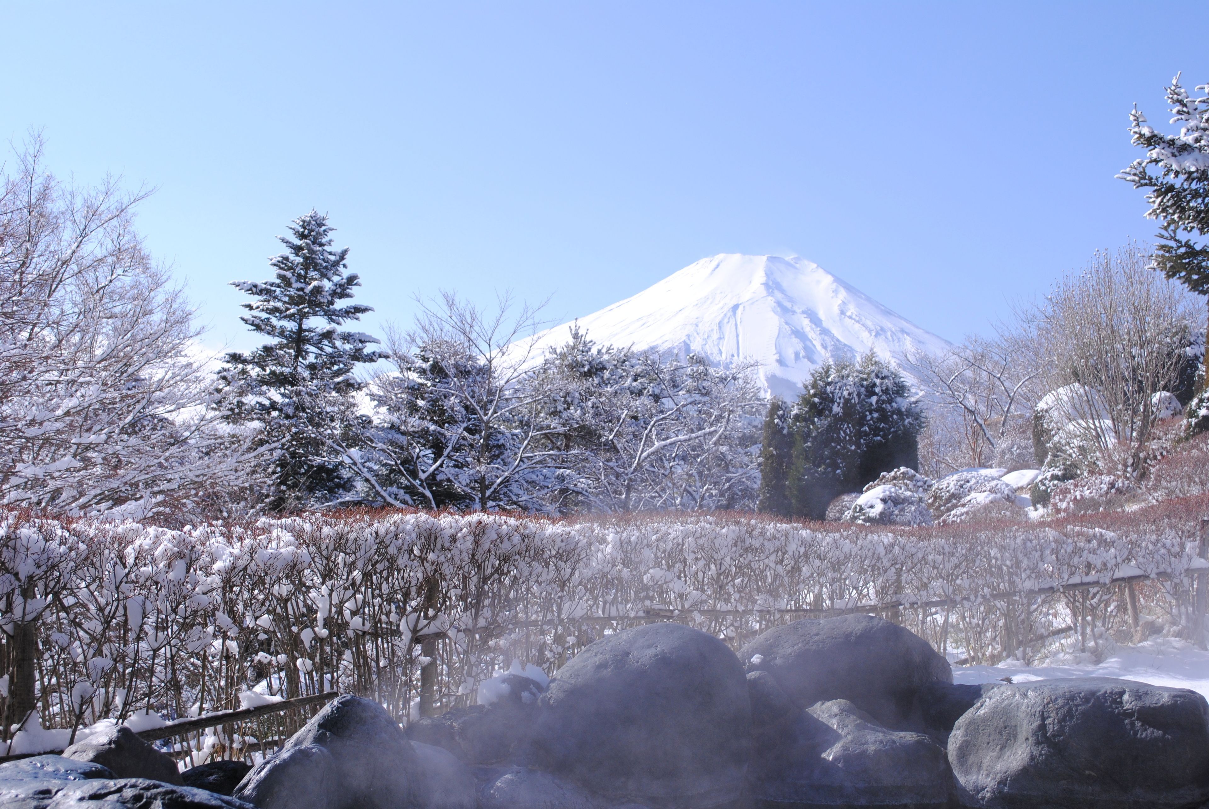 Hotel Mt. Fuji