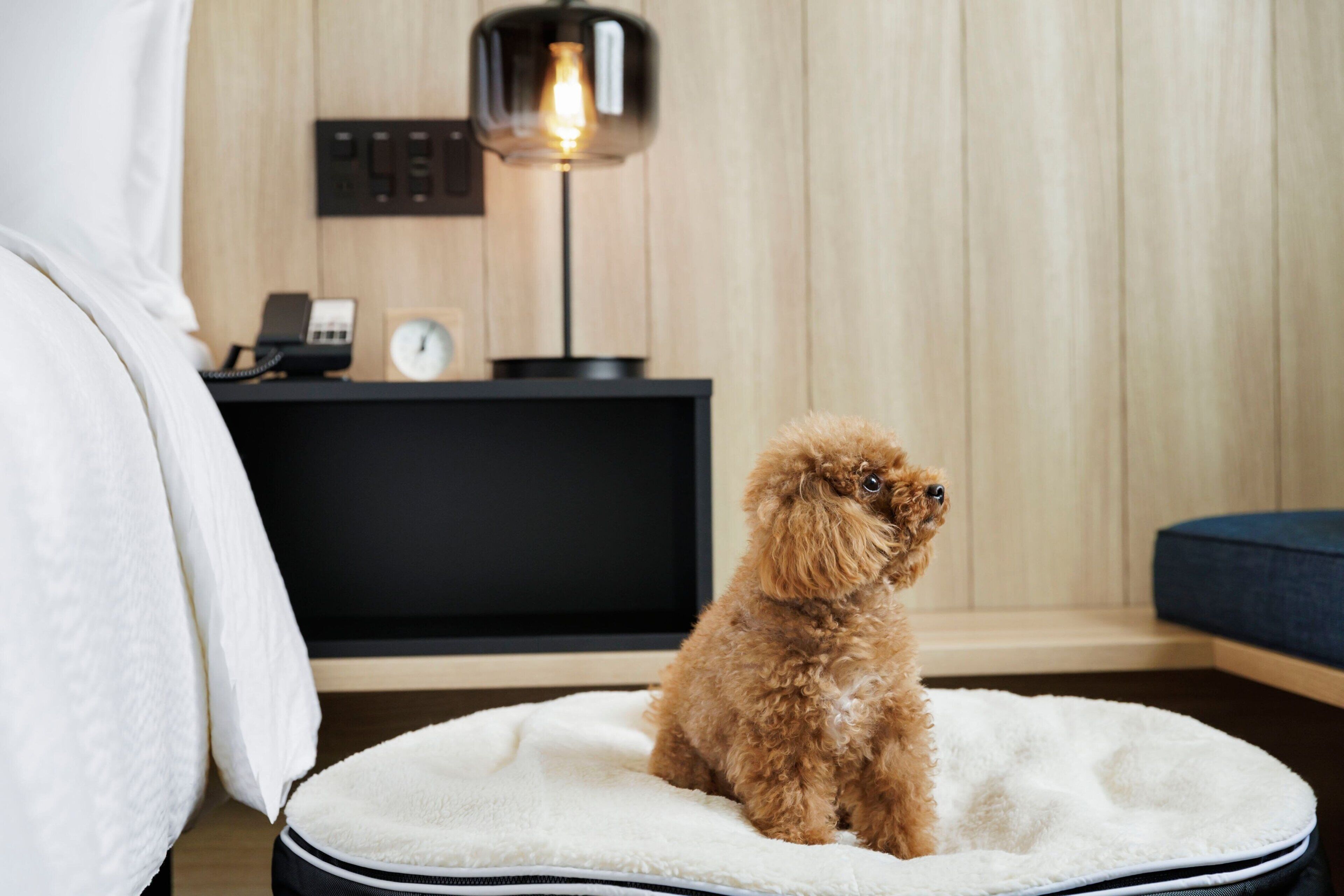 Fairfield by Marriott Gifu Seiryu Satoyama Park