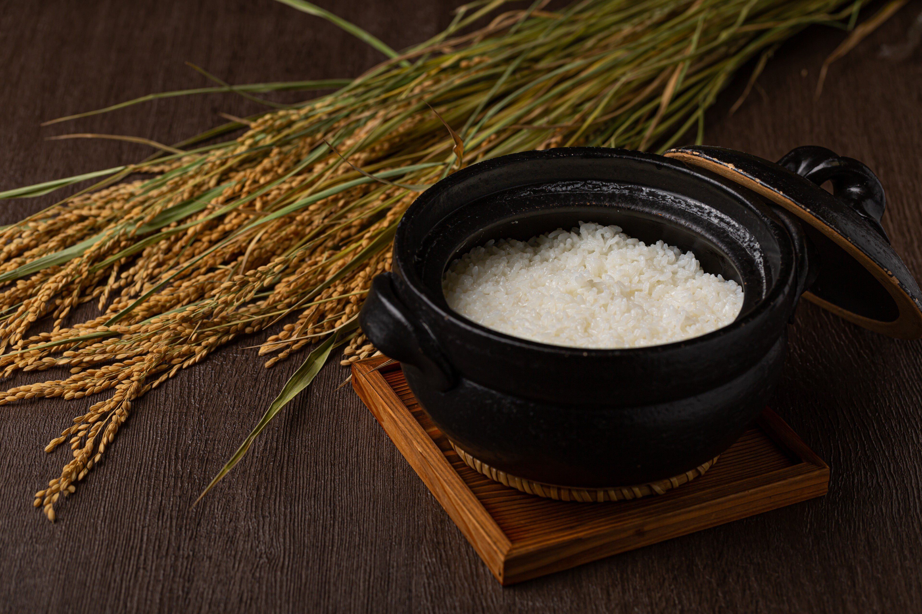 ANA Crowne Plaza Hiroshima