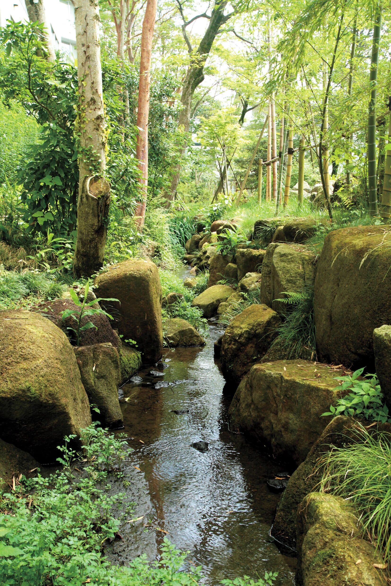 Mars Garden Wood Gotemba Mars Garden Wood Gotemba