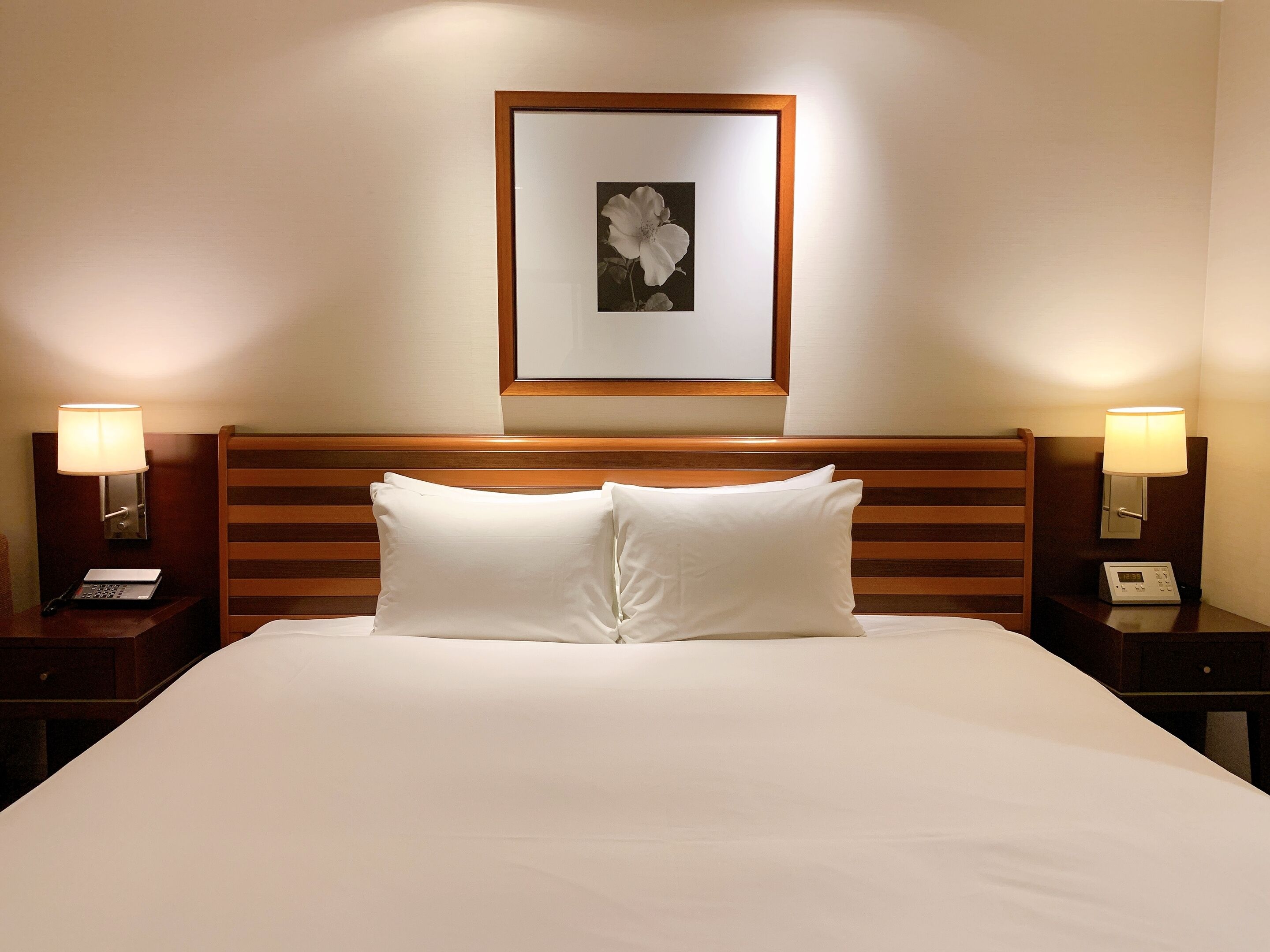 ANA Crowne Plaza Okayama ANA Crowne Plaza Okayama