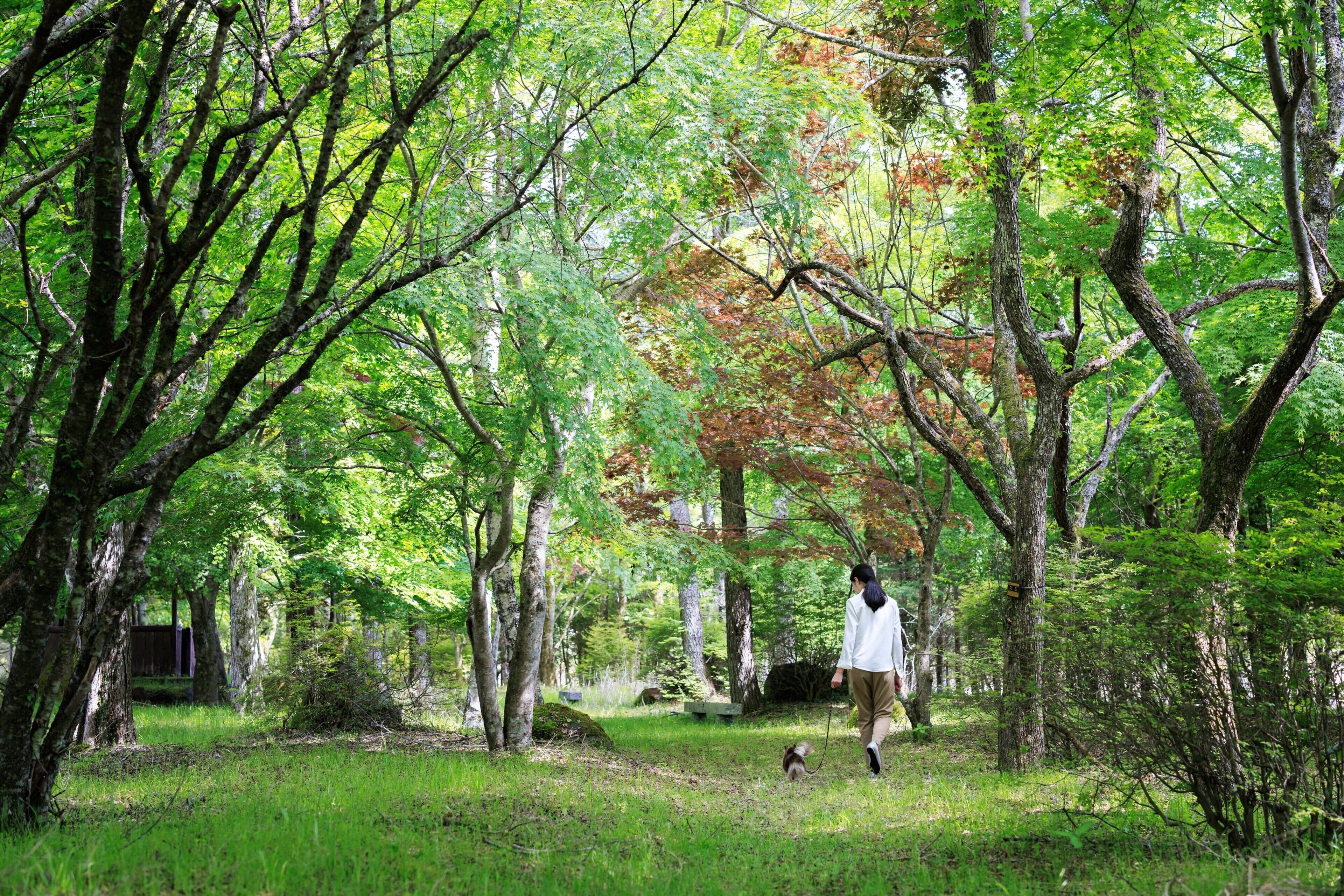 Fuji Marriott Hotel Lake Yamanaka Fuji Marriott Hotel Lake Yamanaka