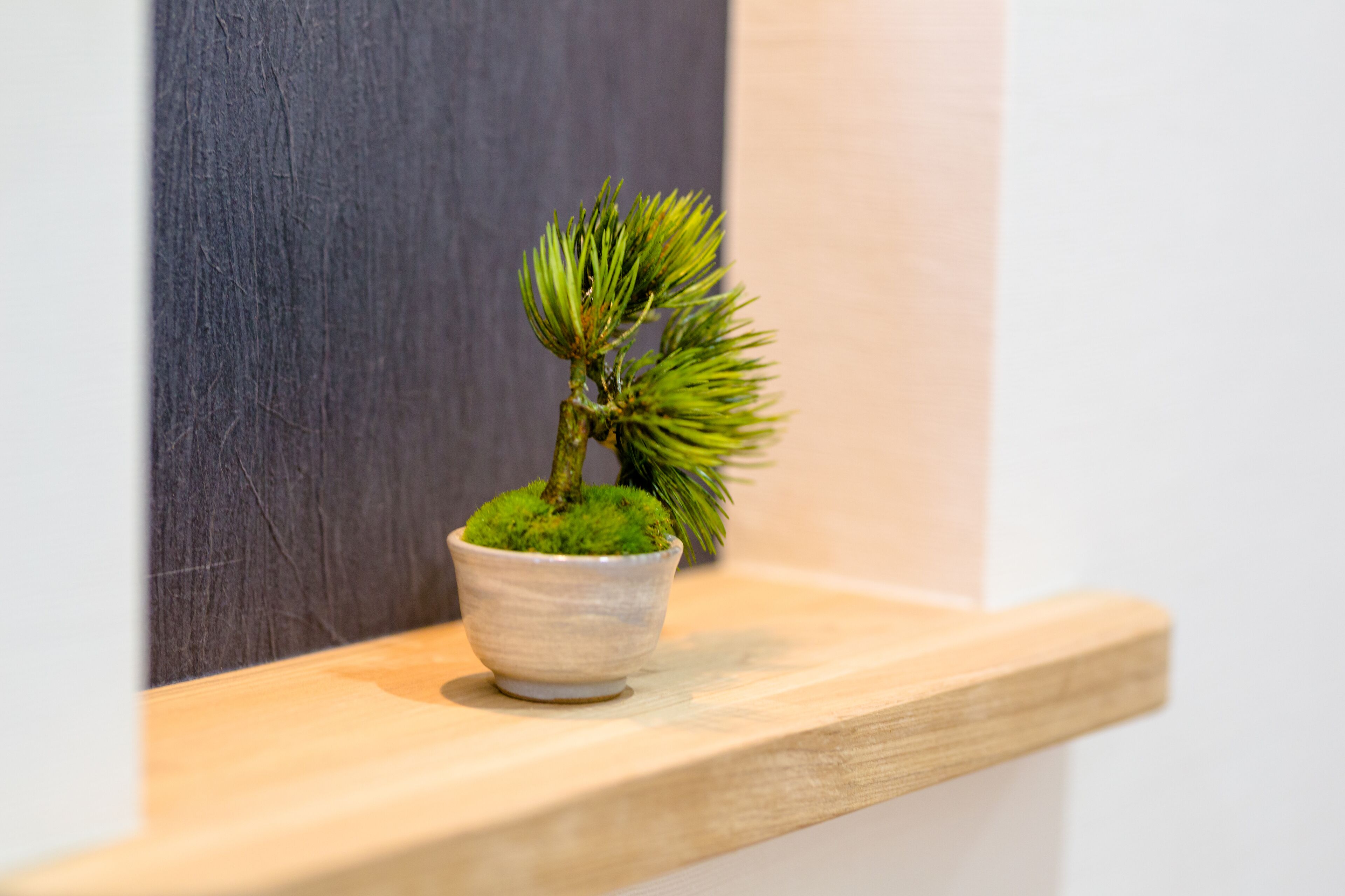 Fuji Akatsuki Kuu Fuji Akatsuki Kuu