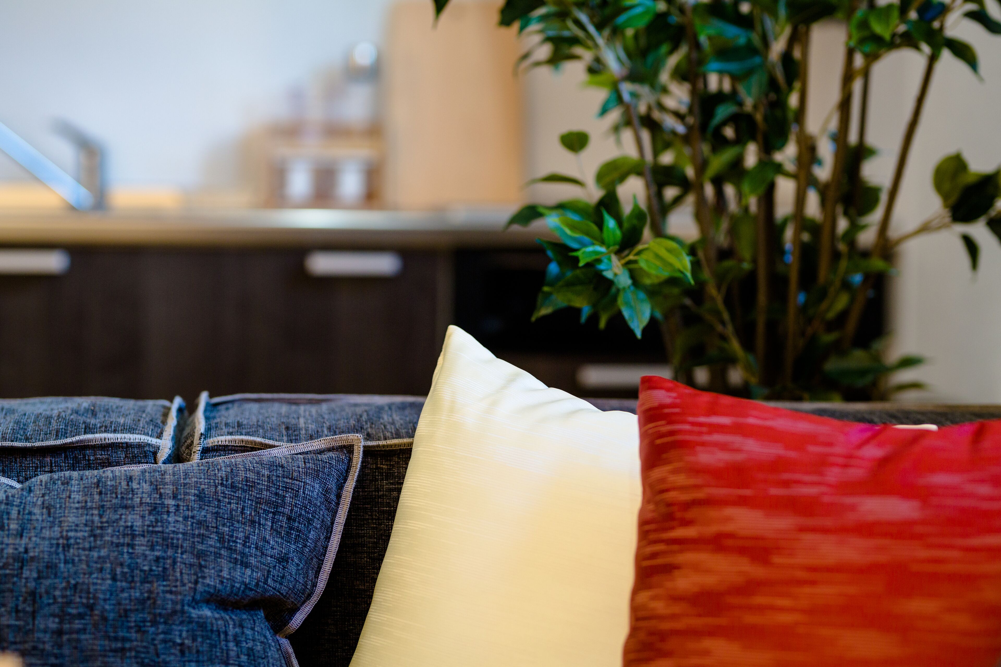 Fuji Akatsuki Kuu Fuji Akatsuki Kuu